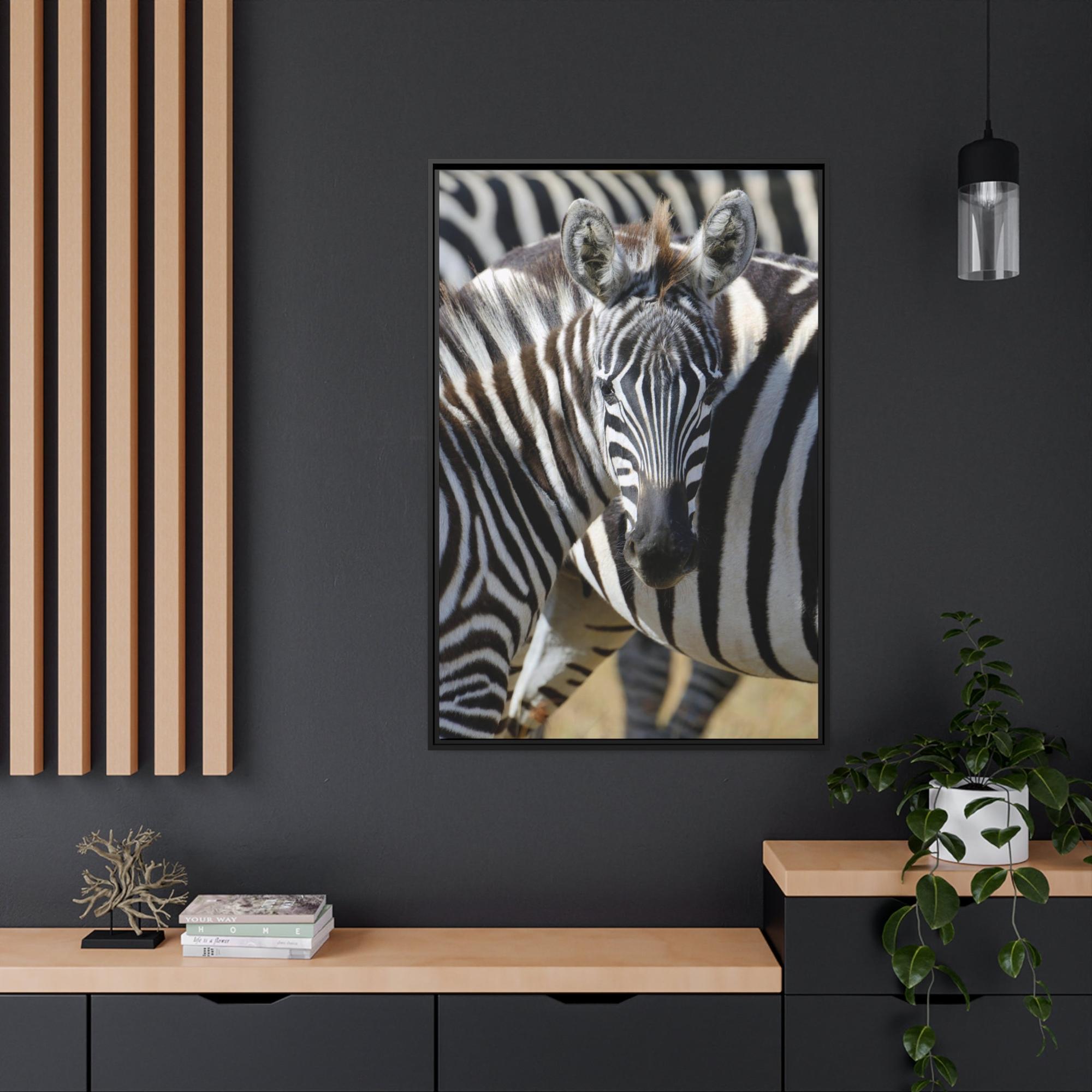 Zebras Grazing in the Grasslands: Natural Canvas Print of a Zebra in its Natural Habitat