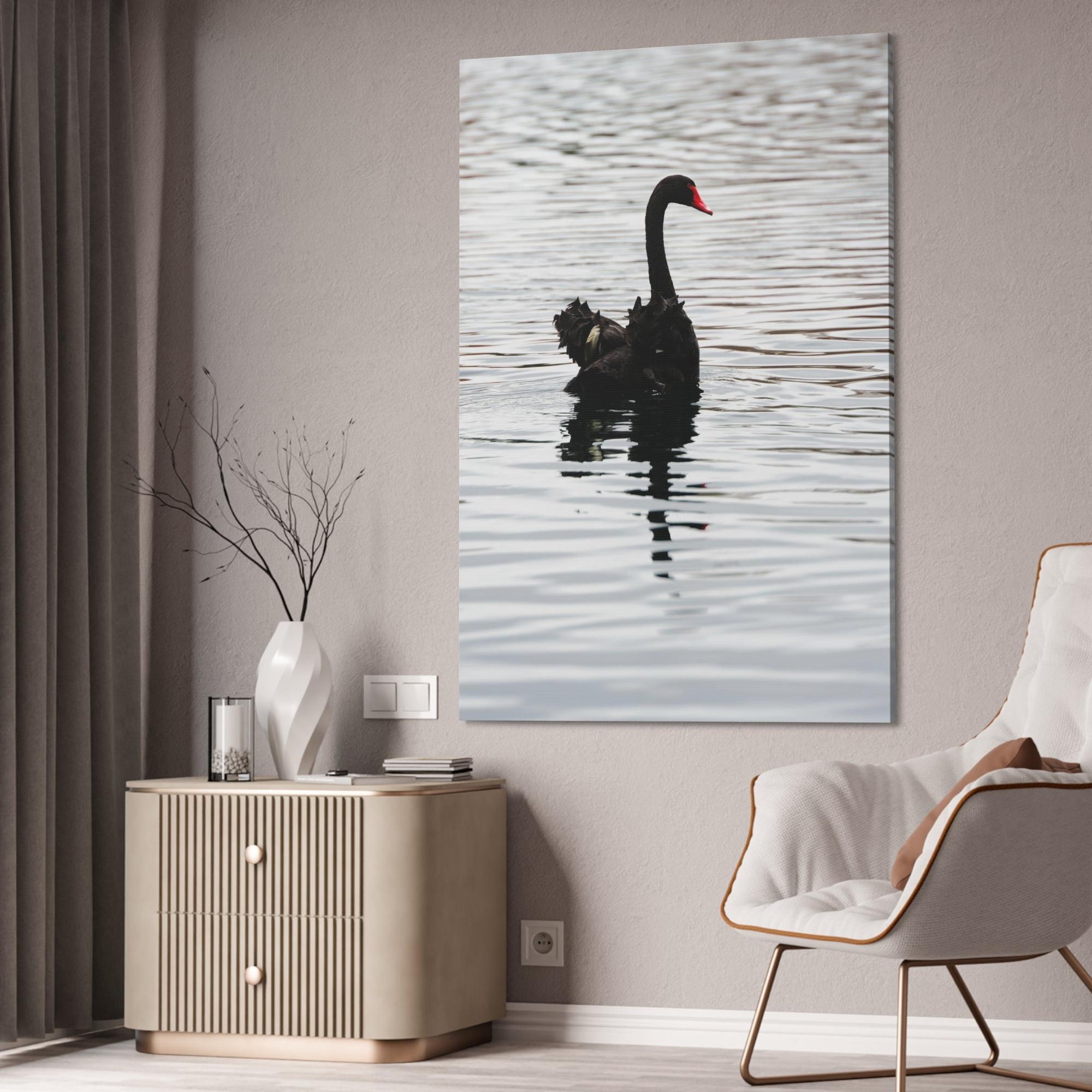 Swans Elegance and Serenity: Poster and Canvas Art Celebrating the Poise and Calmness of Swan