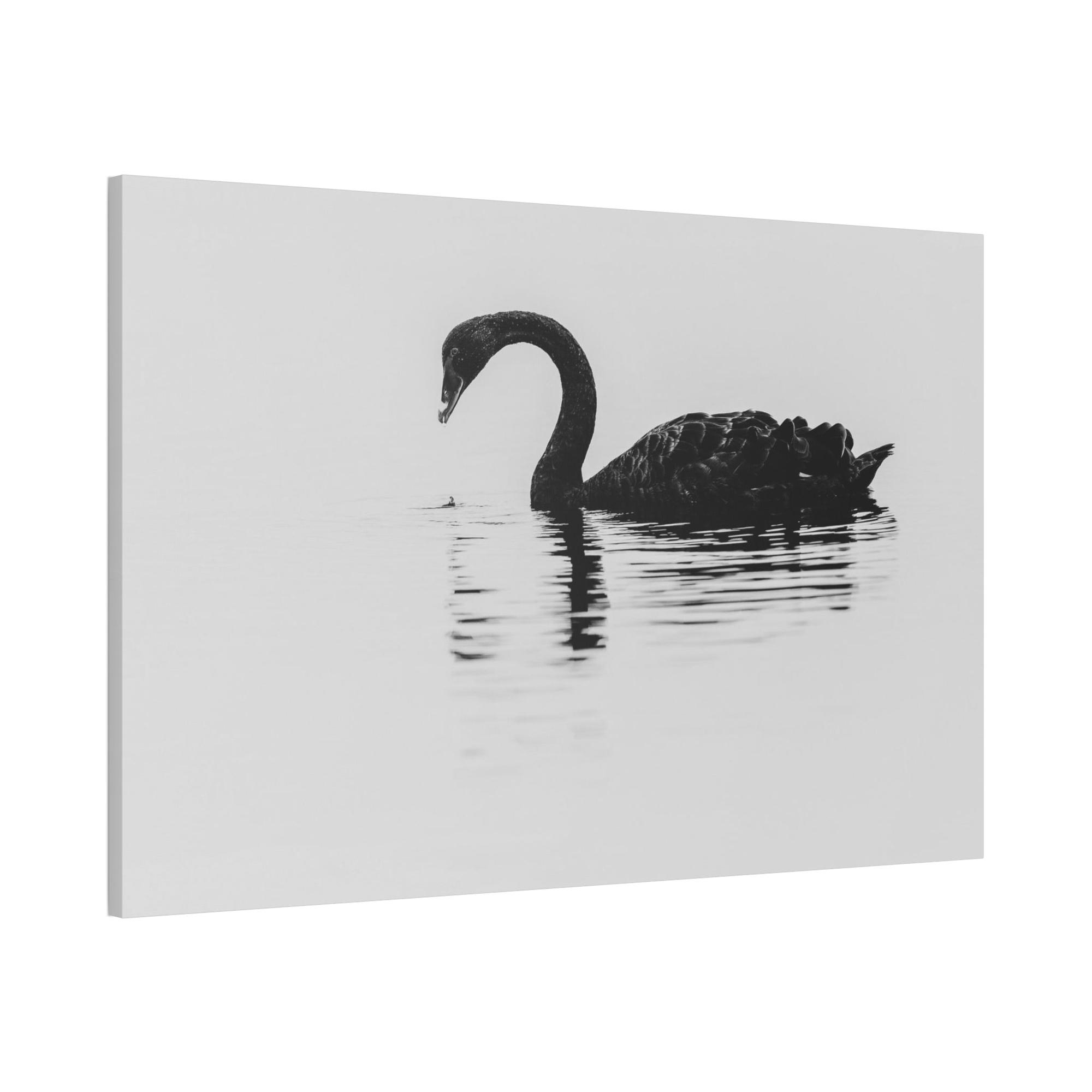 undefined The Swan Princess: Natural Canvas Print of a Beautiful Swan