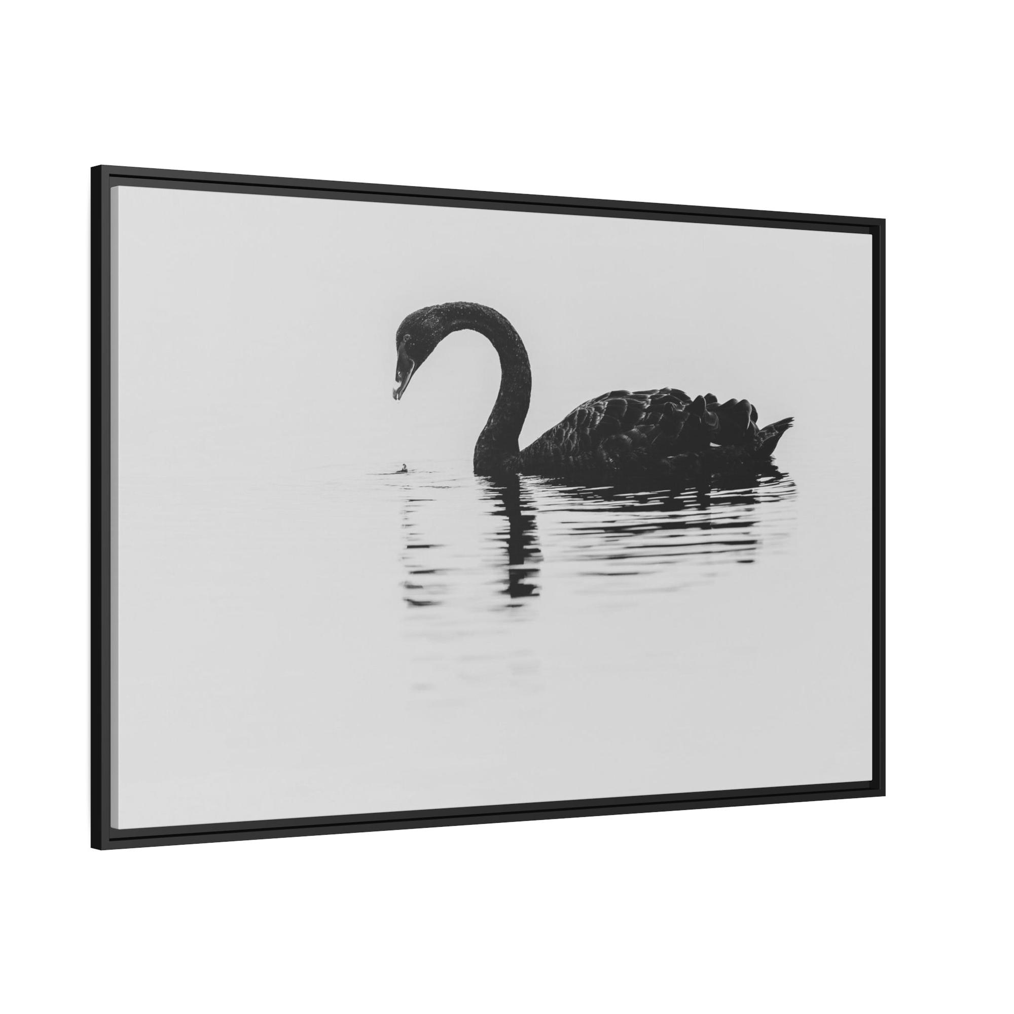 Swans The Swan Princess: Natural Canvas Print of a Beautiful Swan