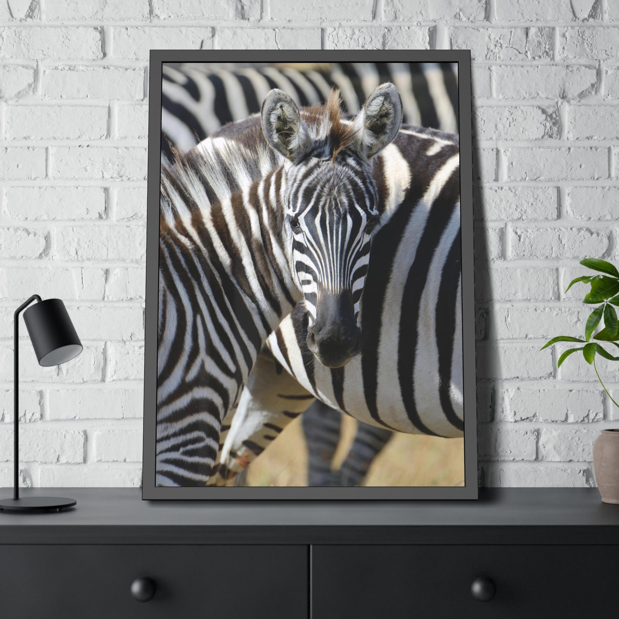Zebras Grazing in the Grasslands: Natural Canvas Print of a Zebra in its Natural Habitat