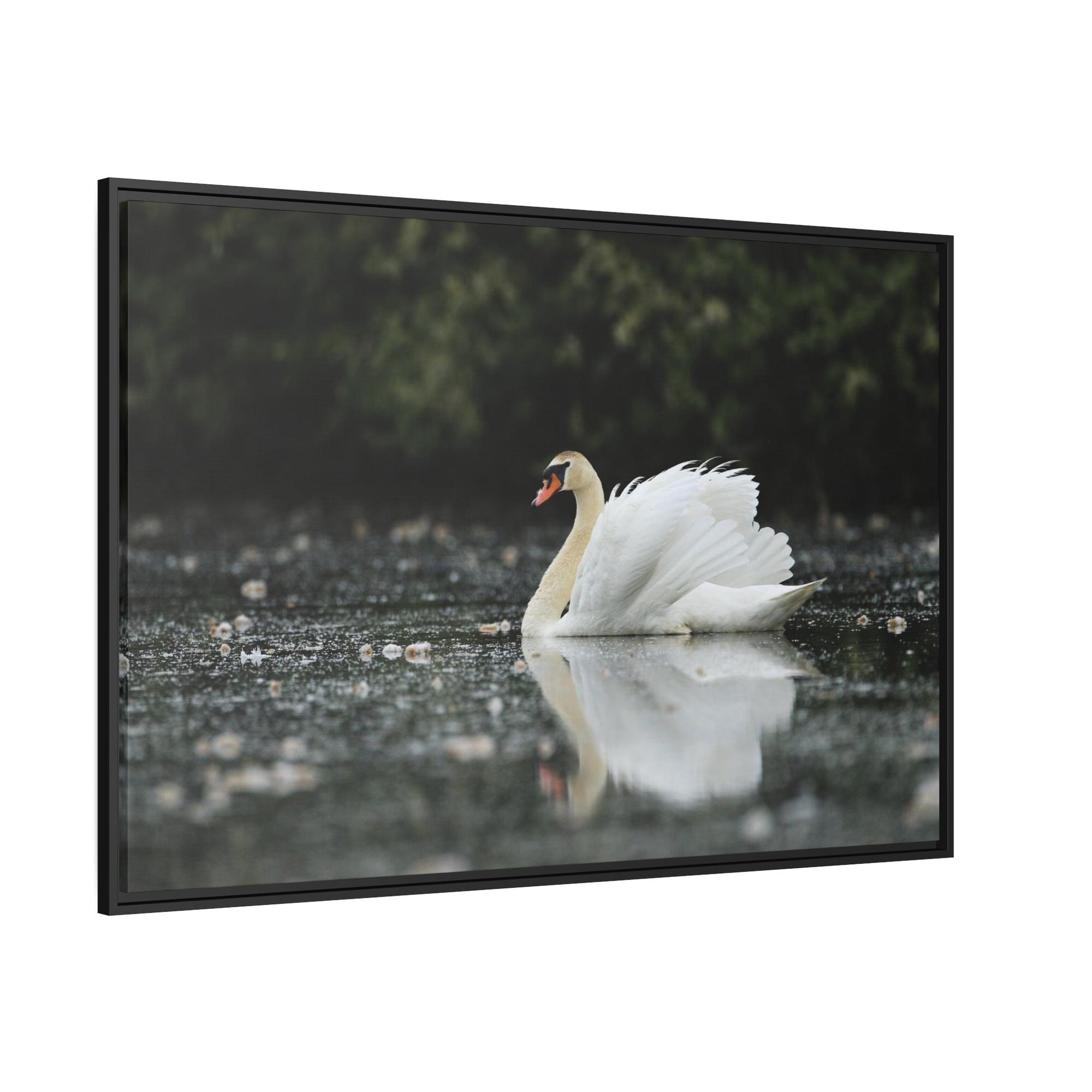 Swans Swan Lake Dreams: Natural Canvas Print of Beautiful Swan in a Dreamy Landscape