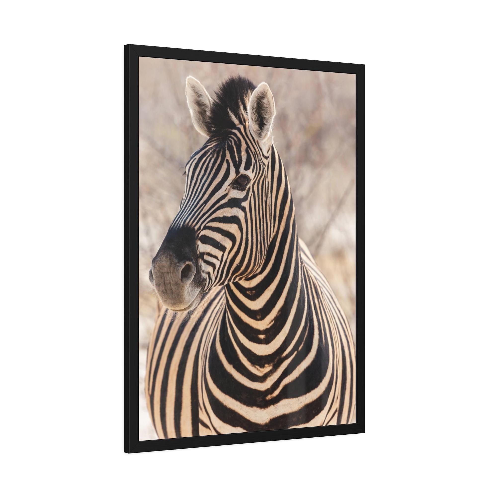 undefined Zebras in the Wild: Stunning Print on Framed Canvas