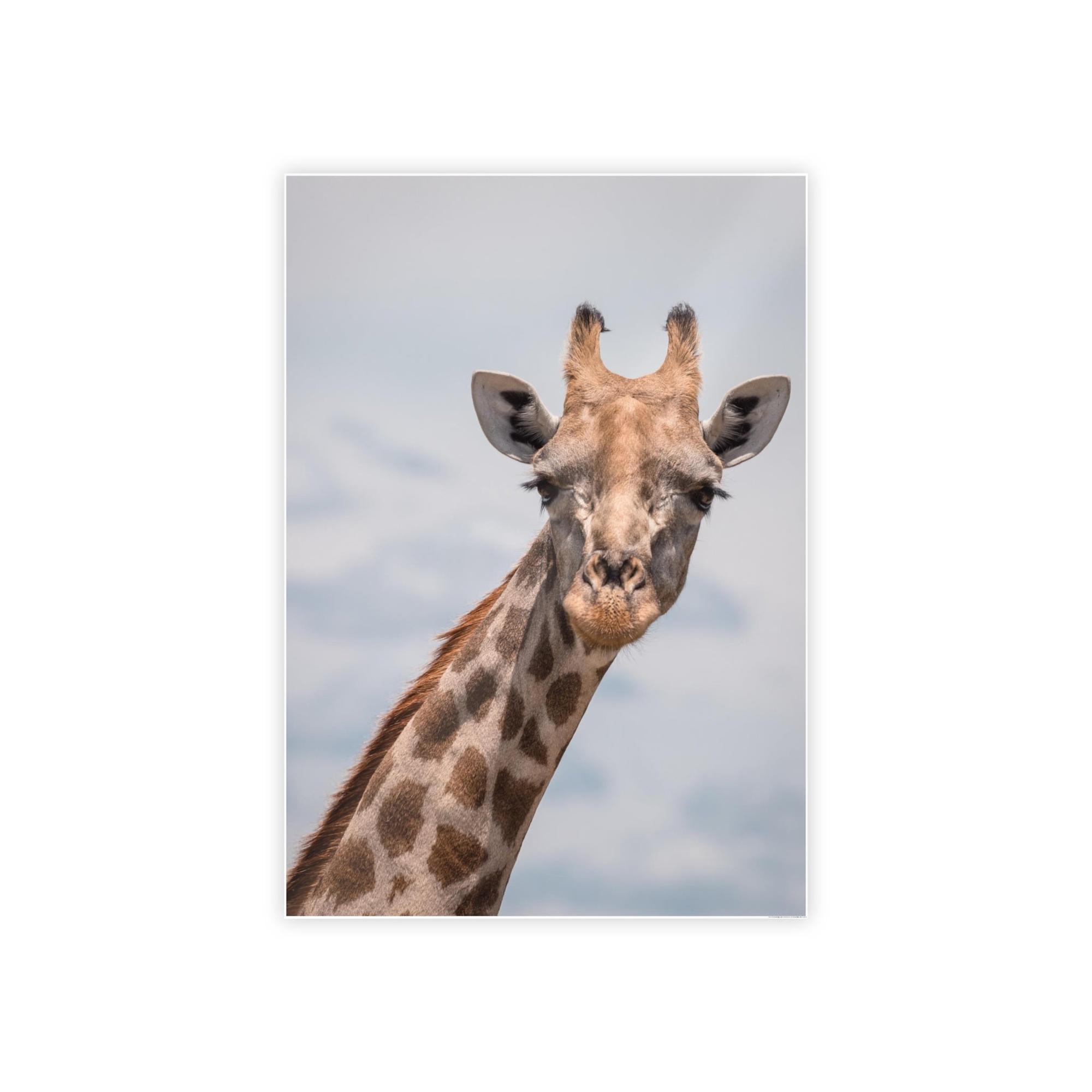 Giraffes Captivating Creature: A Stunning Giraffe on Canvas & Poster