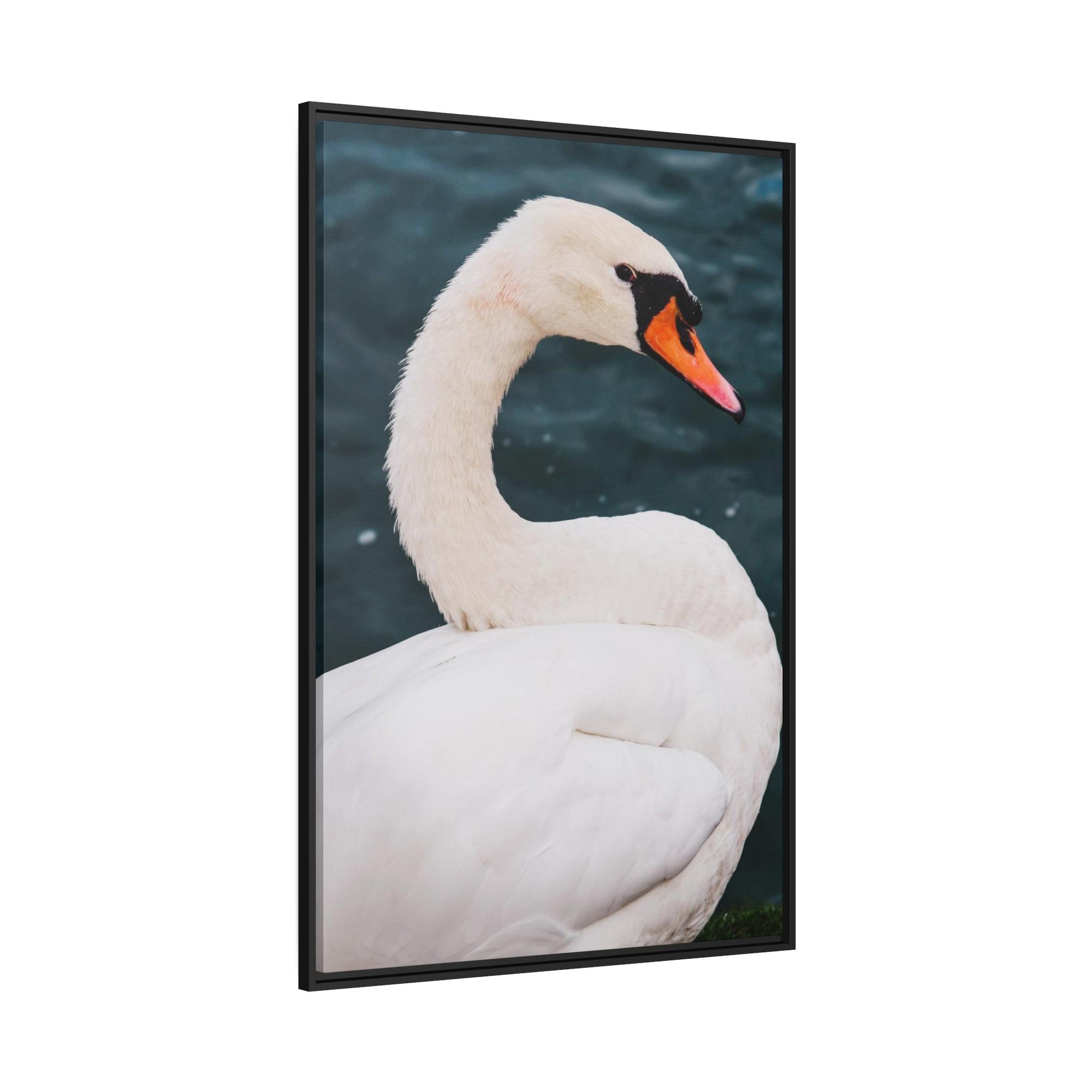 Swans The Calm of Nature: Natural Canvas Print of Swan in a Serene Landscape