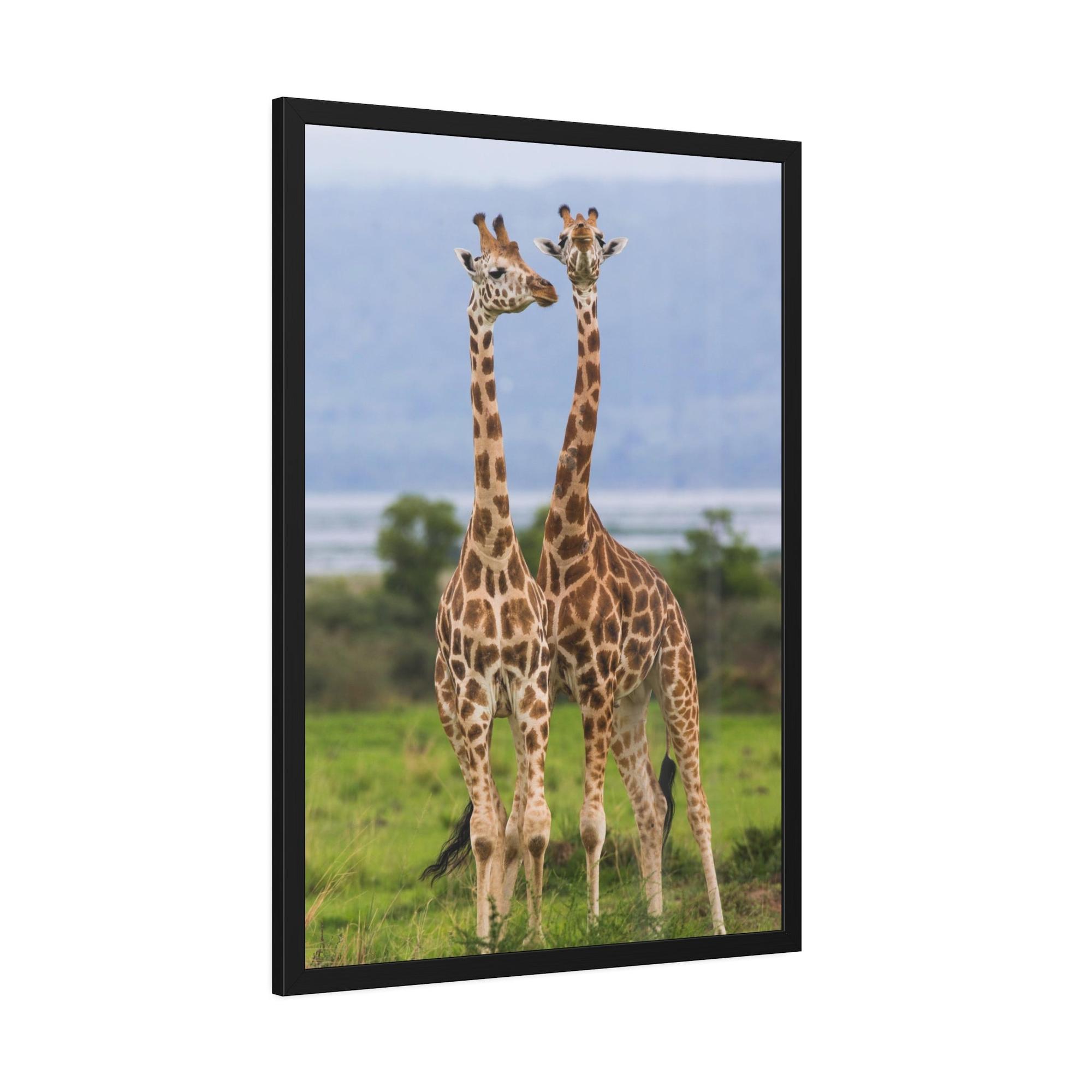 Giraffes Giraffed in Motion: A Stunning Artistic Interpretation on Canvas & Poster
