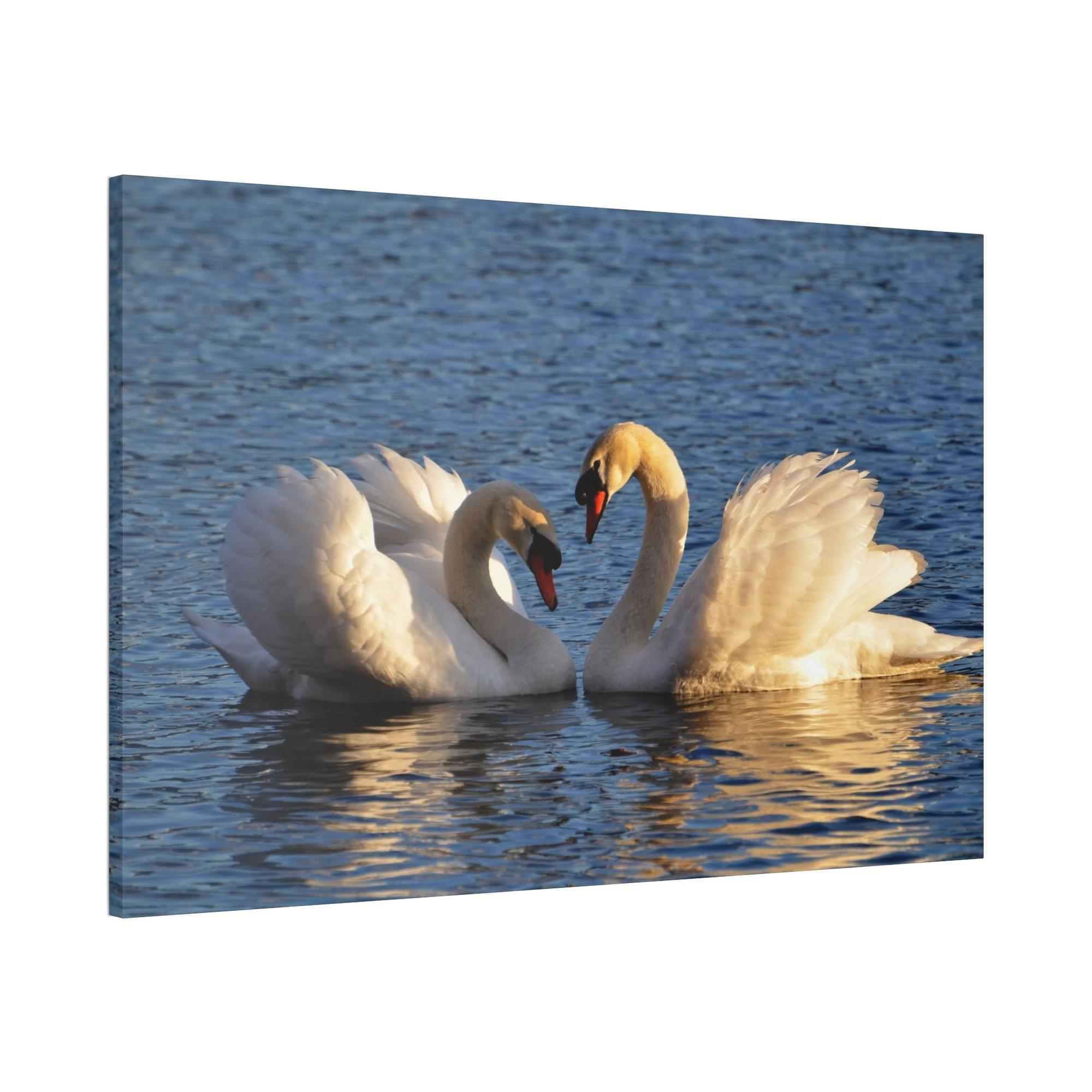 Swans Majestic Beauty: Canvas Wall Art Displaying the Grace and Strength of Swans