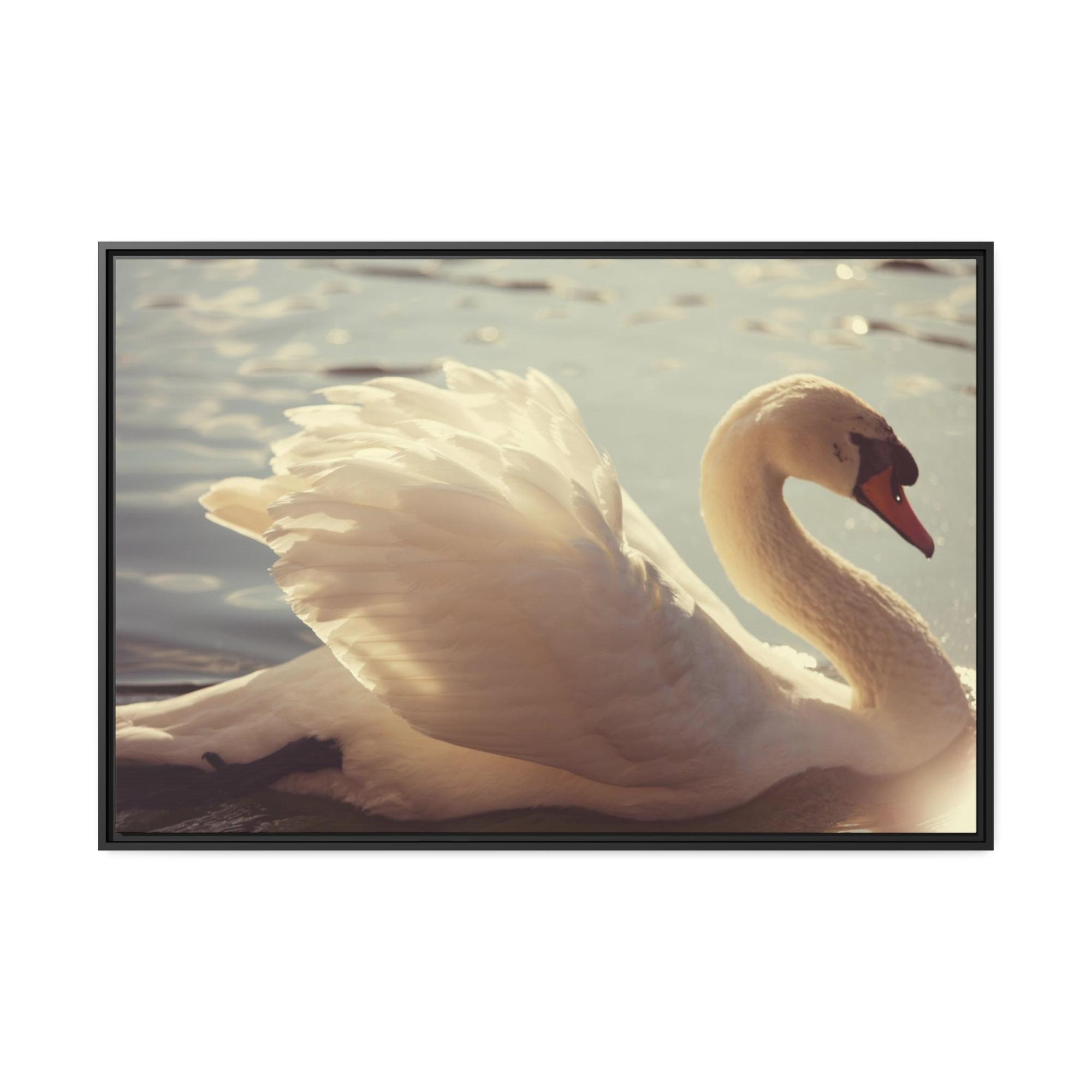 Swans Elegant Grace: Natural Canvas Print Featuring Beautiful Swan