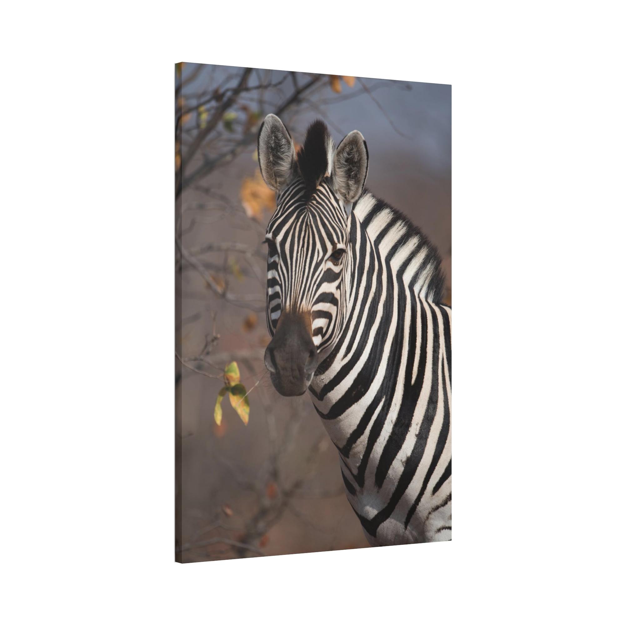Zebras Zebra Stripes on the Horizon: Canvas Art Displaying a Beautiful Zebra in the Wild
