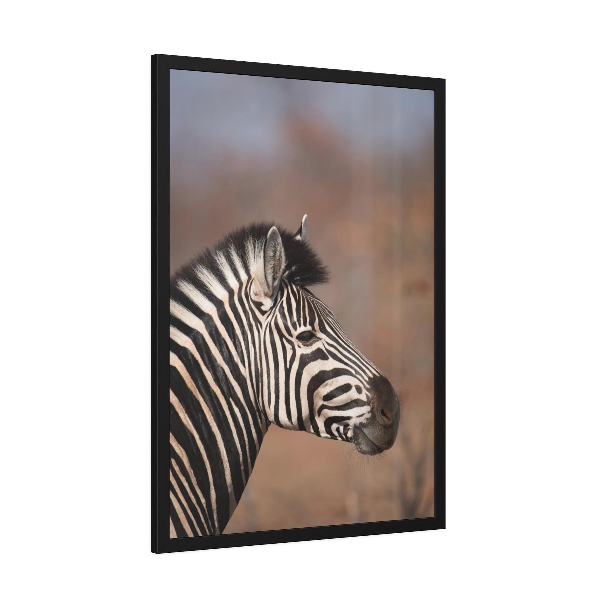 Zebras Wild Beauty: Natural Canvas and Framed Poster Featuring a Majestic Zebra