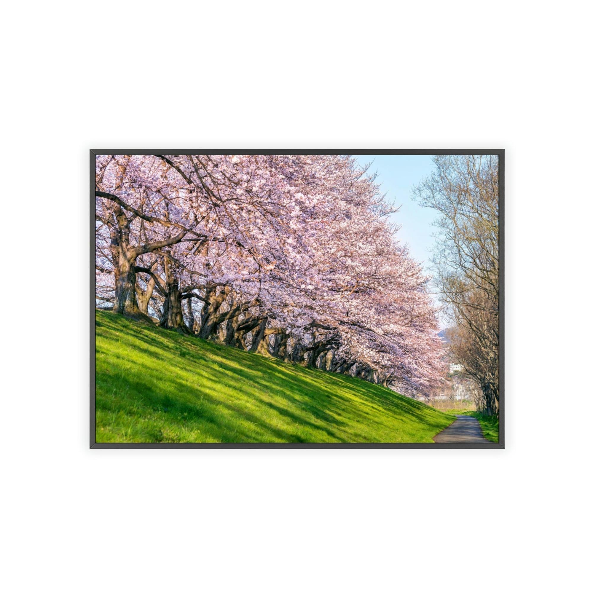 Cherry Trees Enchanted Forest: Cherry Trees on Canvas & Poster