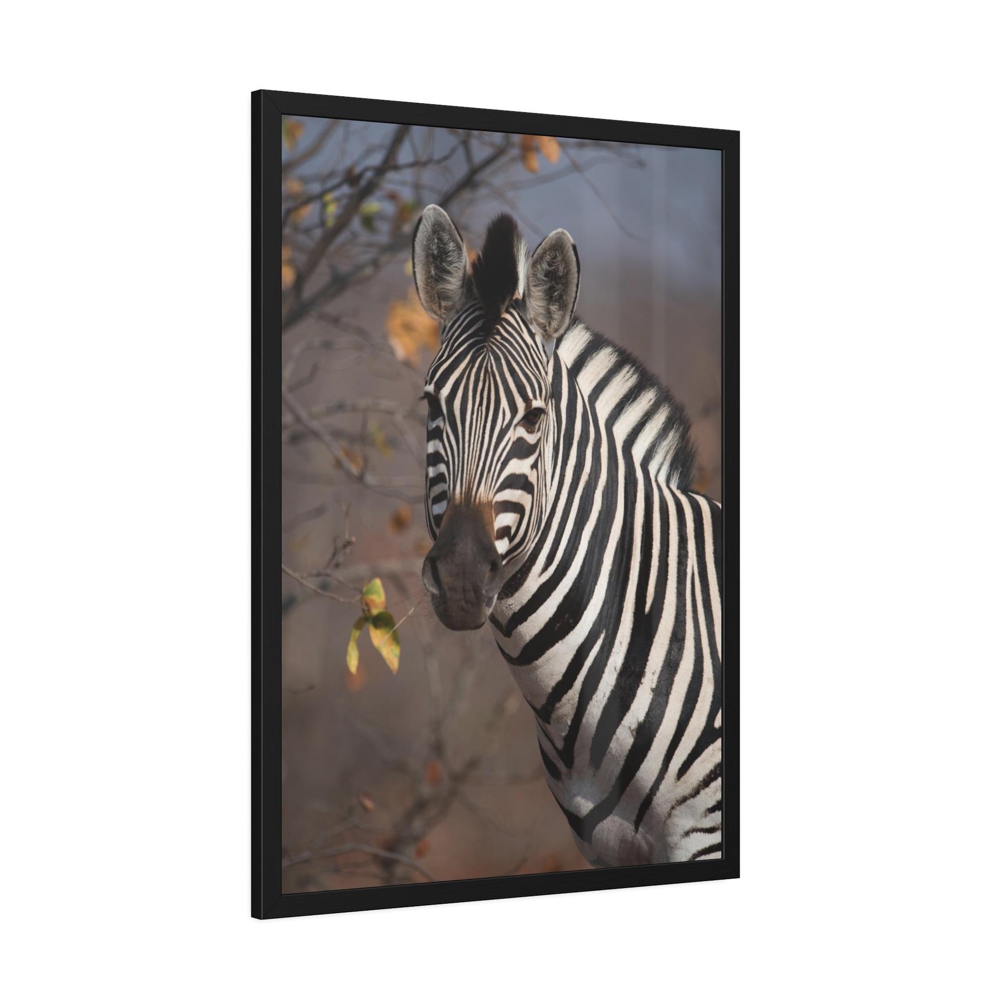 Zebras Zebra Stripes on the Horizon: Canvas Art Displaying a Beautiful Zebra in the Wild