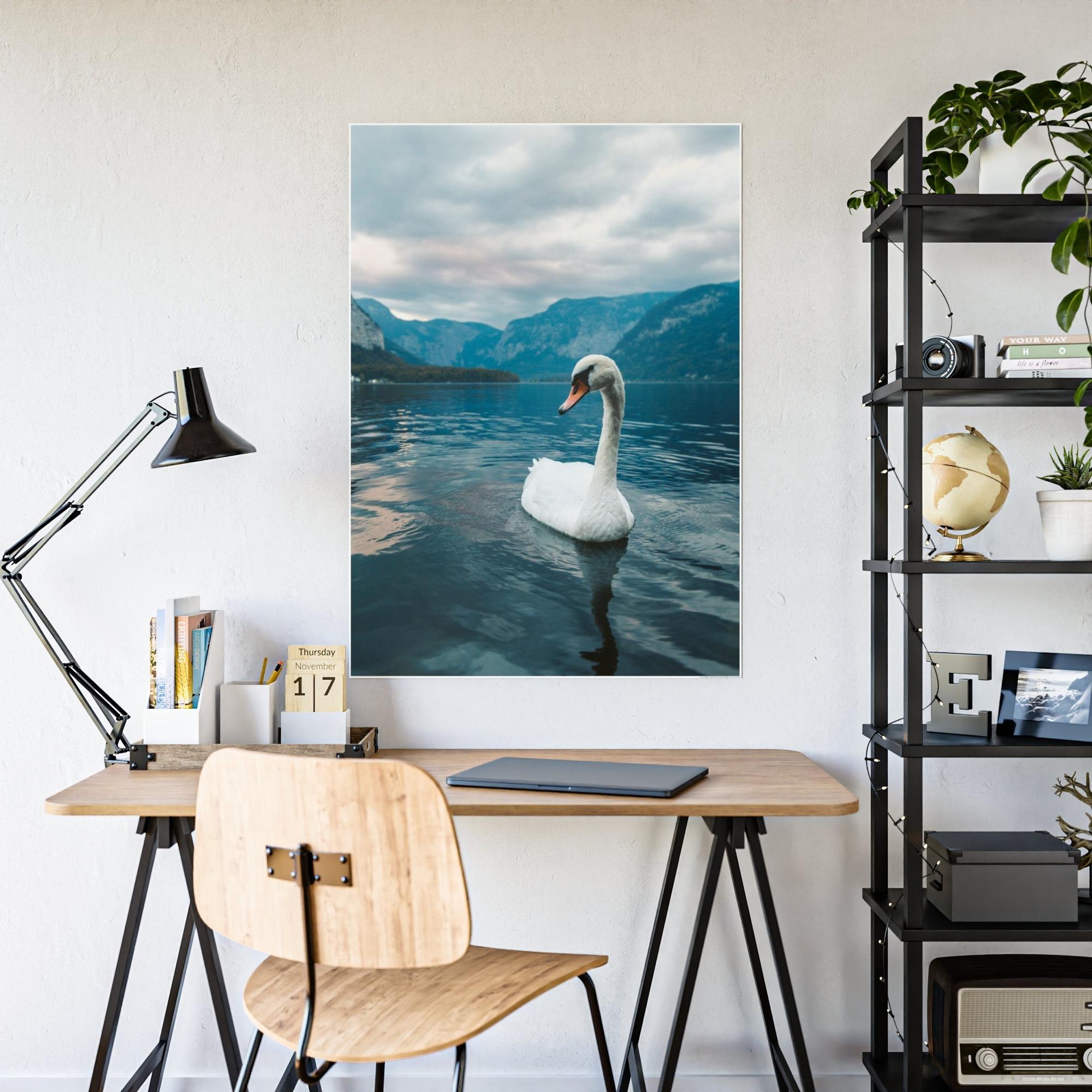 Swans Elegance on the Water: Framed Poster and Print on Canvas Celebrating the Grace of Swan