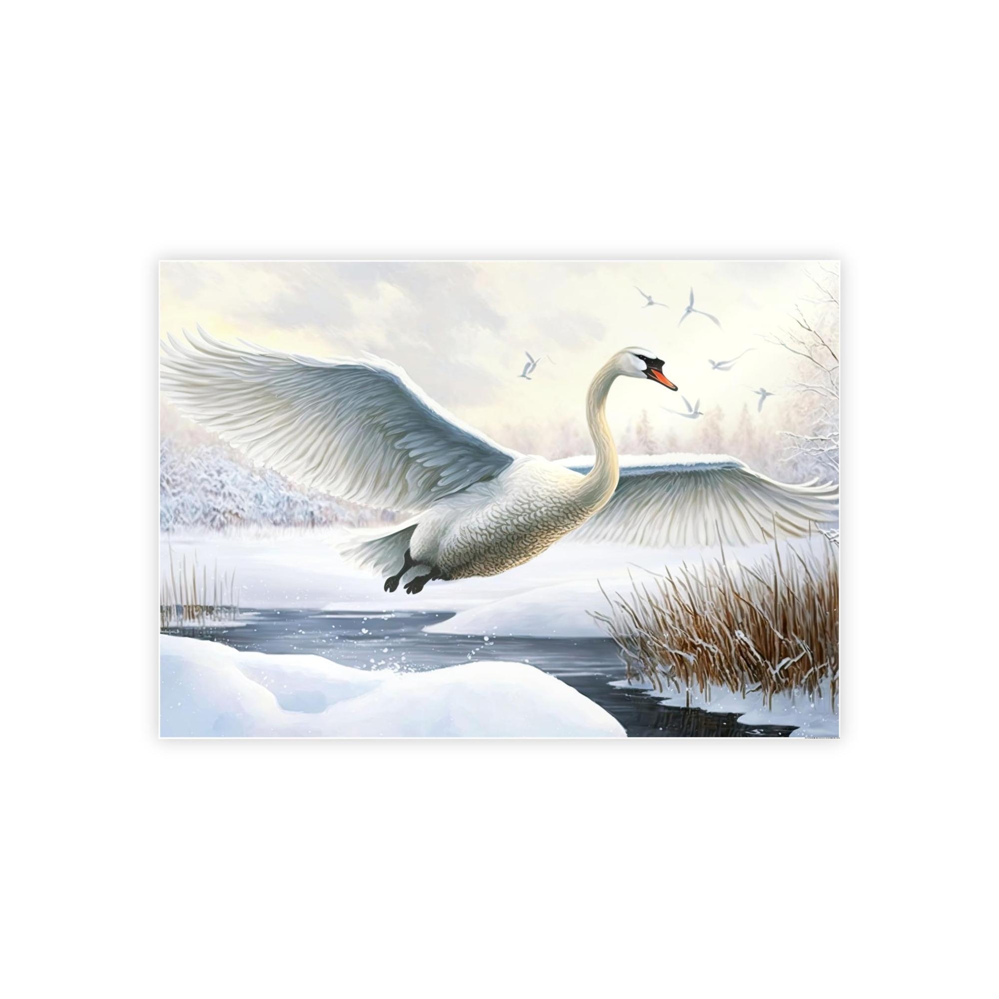 Swans The Art of Nature: Natural Canvas Print of Swans in Their Natural Habitat
