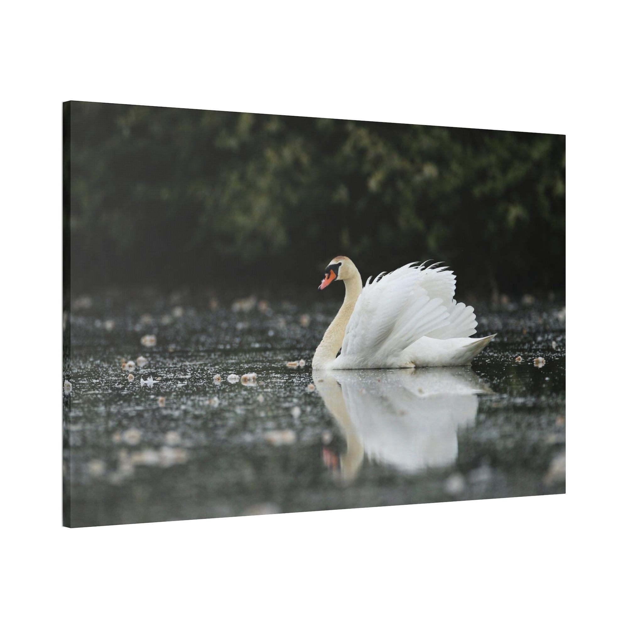 undefined Swan Lake Dreams: Natural Canvas Print of Beautiful Swan in a Dreamy Landscape