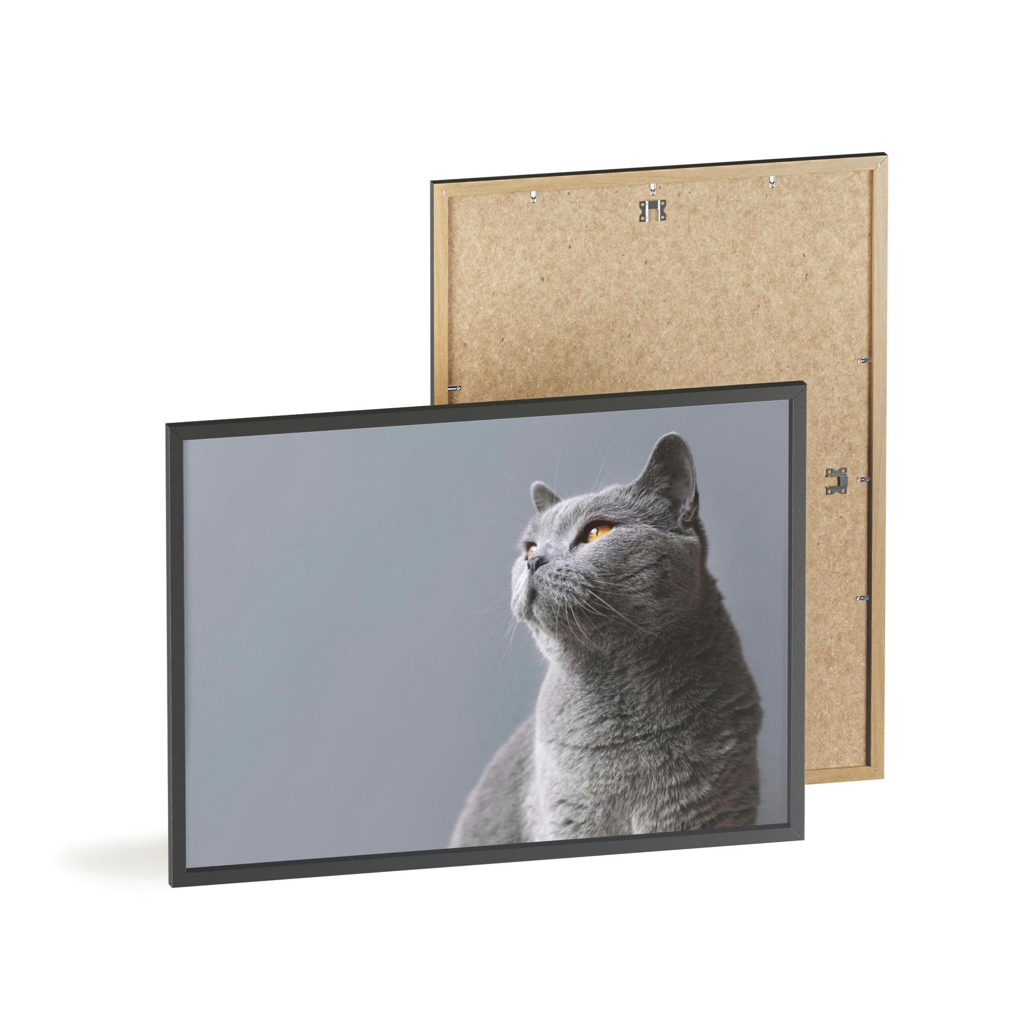 Cats Feline Finesse: Artistic Cat Depictions on Natural Canvas & Posters