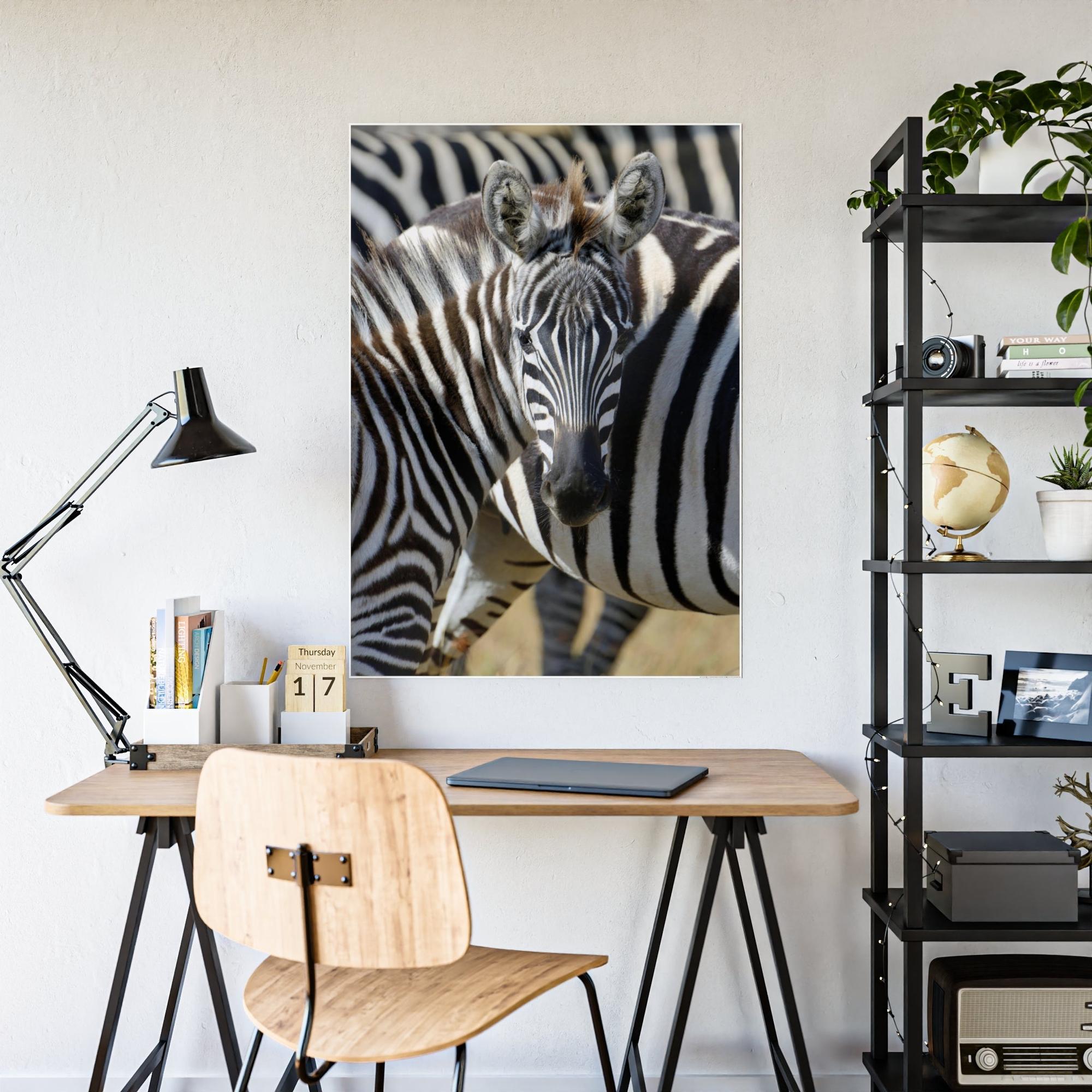Zebras Grazing in the Grasslands: Natural Canvas Print of a Zebra in its Natural Habitat
