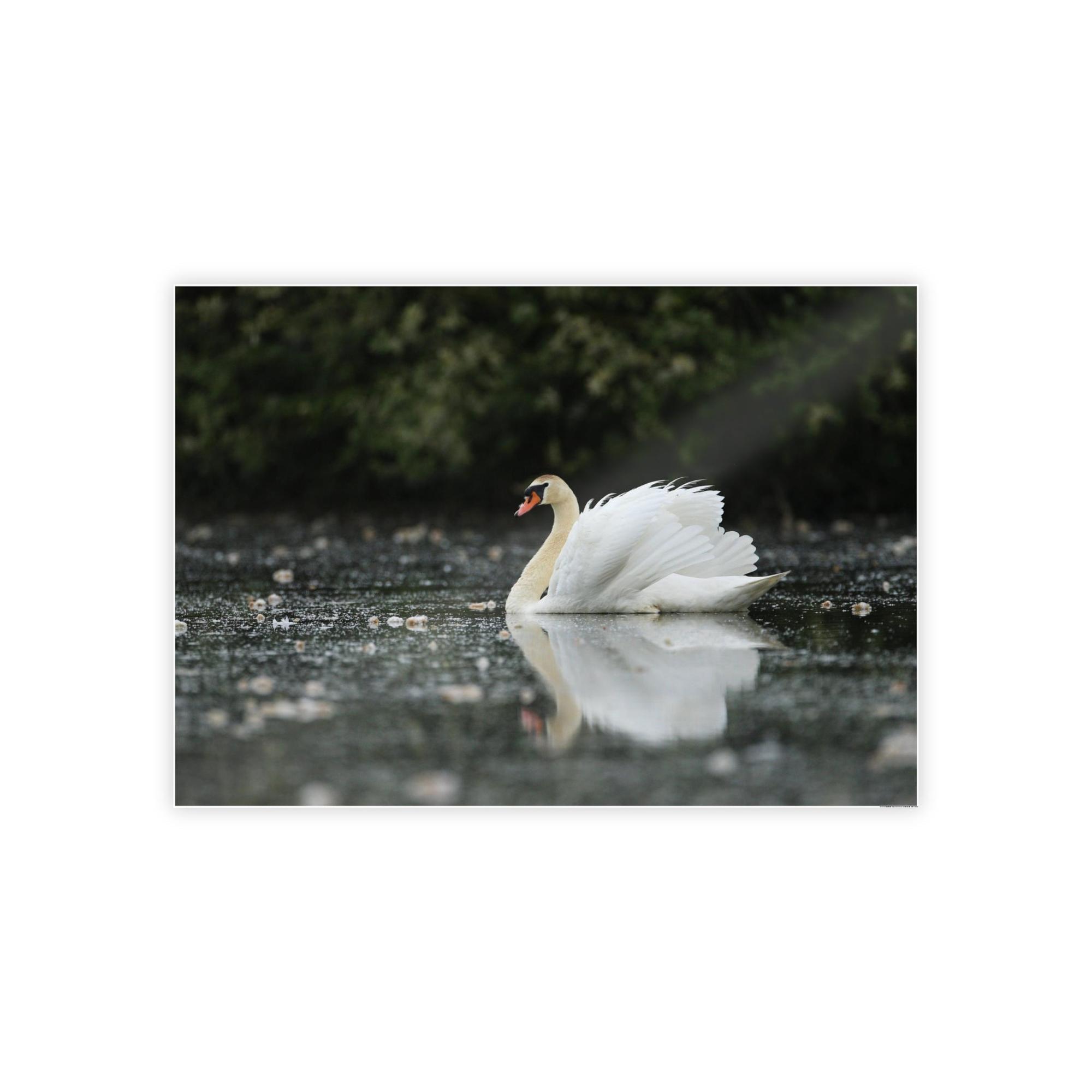 Swans Swan Lake Dreams: Natural Canvas Print of Beautiful Swan in a Dreamy Landscape