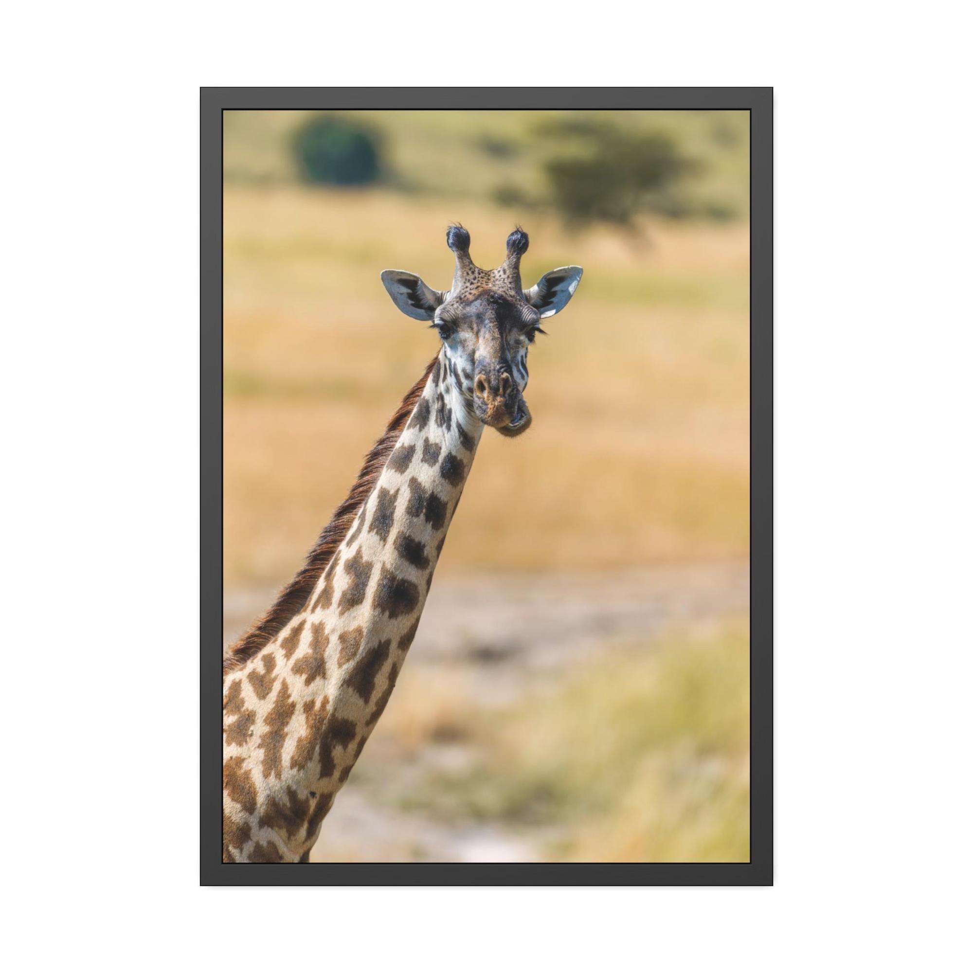Giraffes Wild and Free: Canvas Wall Art Featuring a Giraffe in the African Plains
