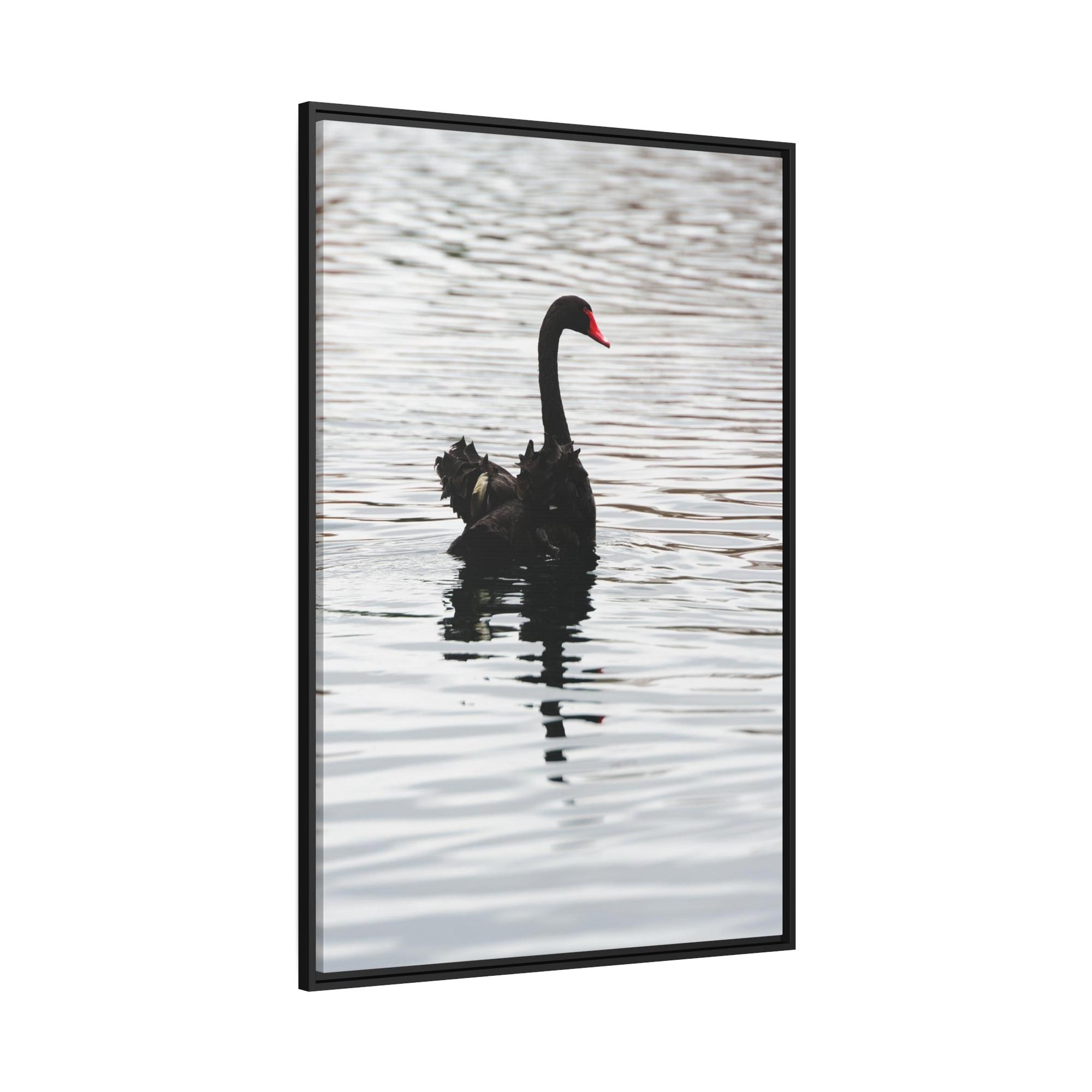 Swans Elegance and Serenity: Poster and Canvas Art Celebrating the Poise and Calmness of Swan