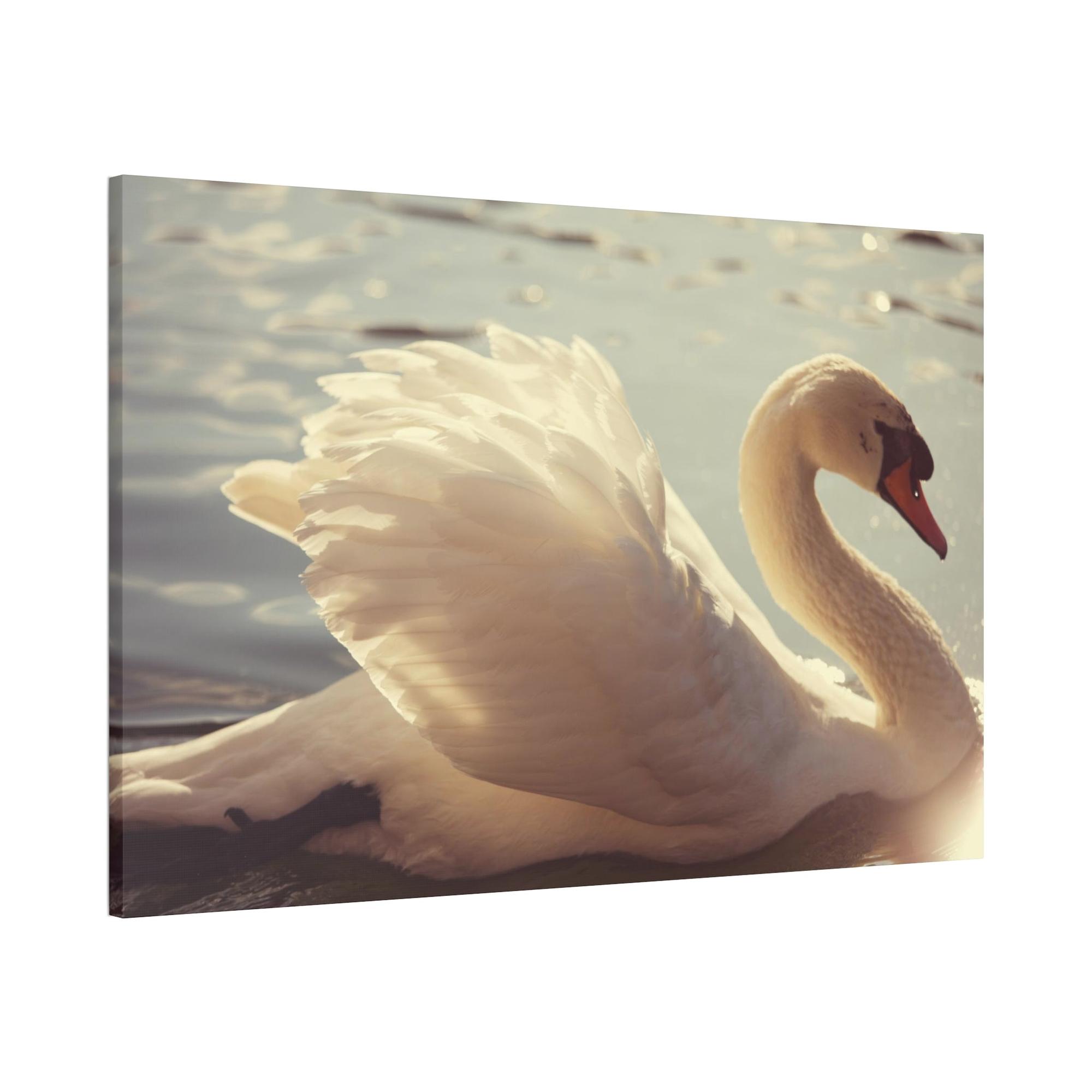 undefined Elegant Grace: Natural Canvas Print Featuring Beautiful Swan