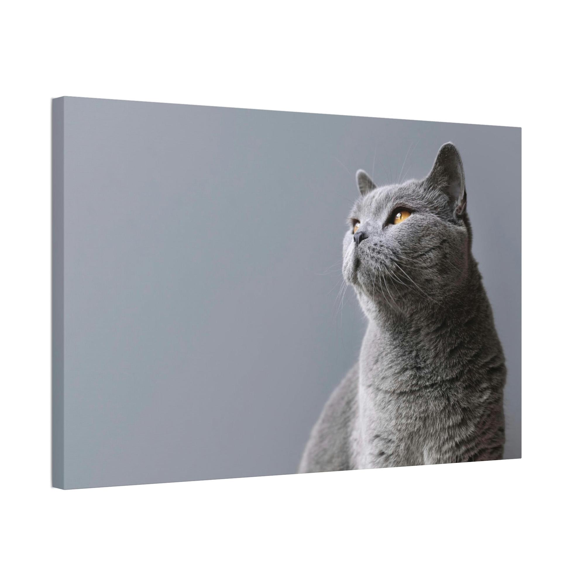 Cats Feline Finesse: Artistic Cat Depictions on Natural Canvas & Posters
