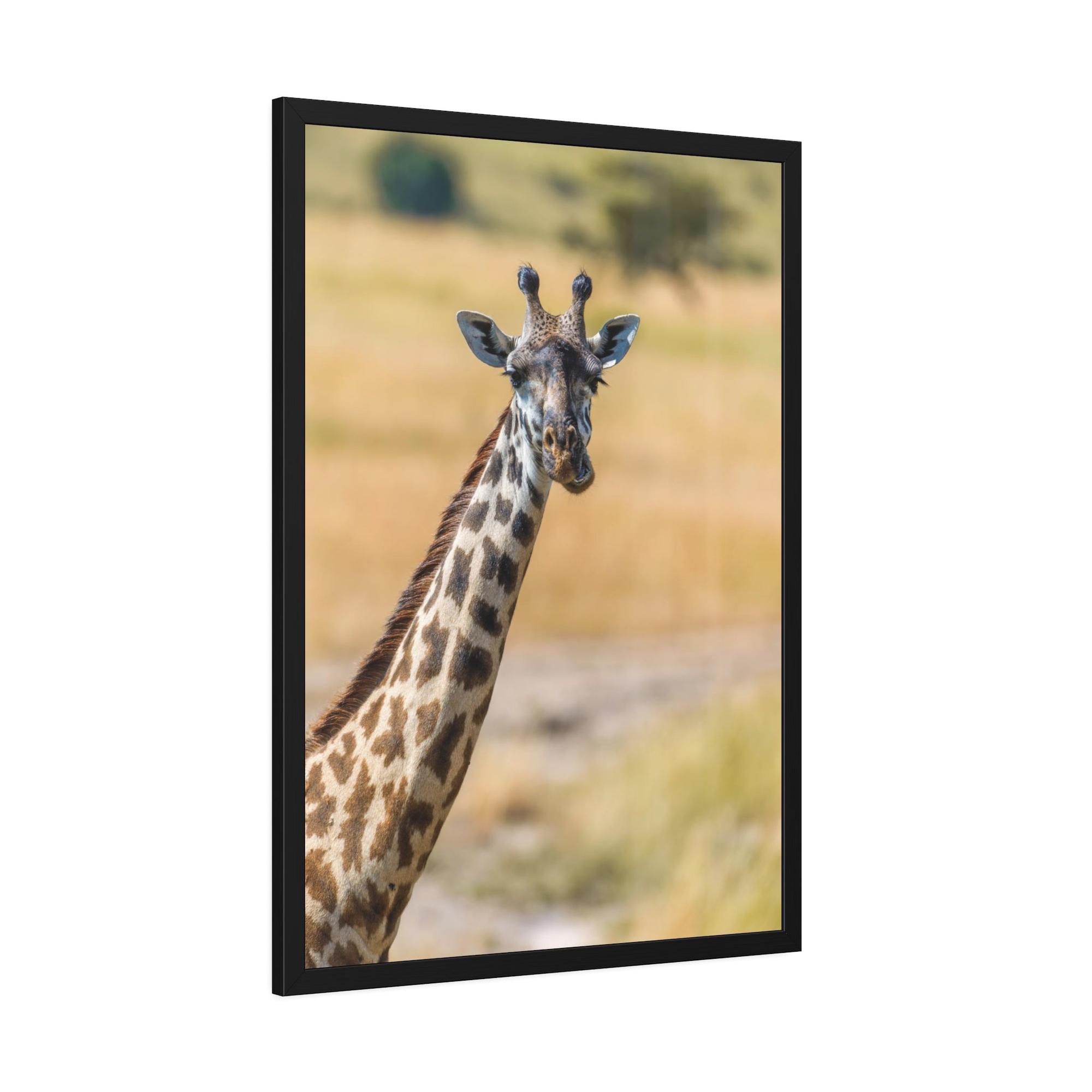 Giraffes Wild and Free: Canvas Wall Art Featuring a Giraffe in the African Plains