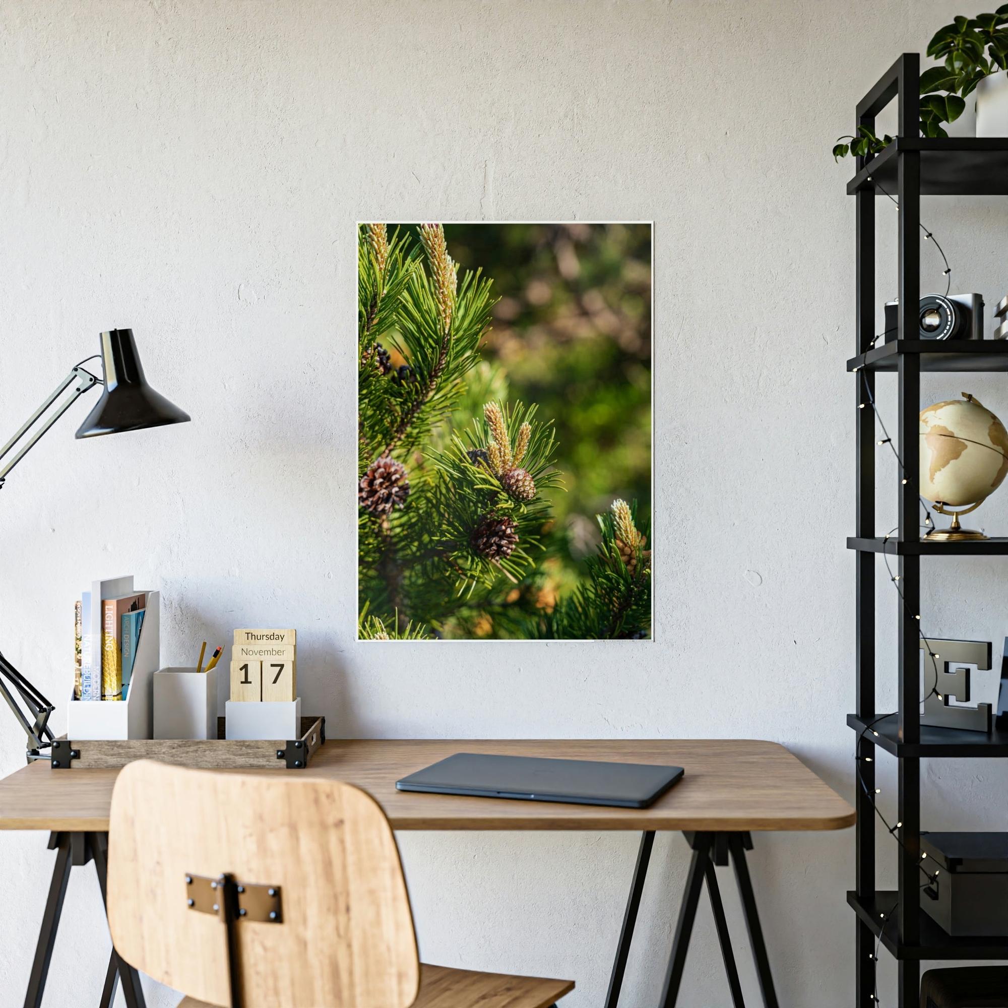 Pine Trees Whispering Pines: A Canvas of Tranquility and Serenity