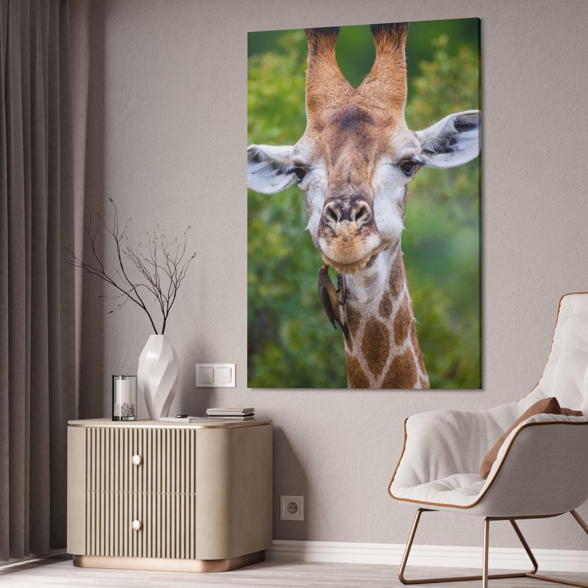 Giraffes Nature's Masterpiece: A Gorgeous Giraffe on Canvas & Poster