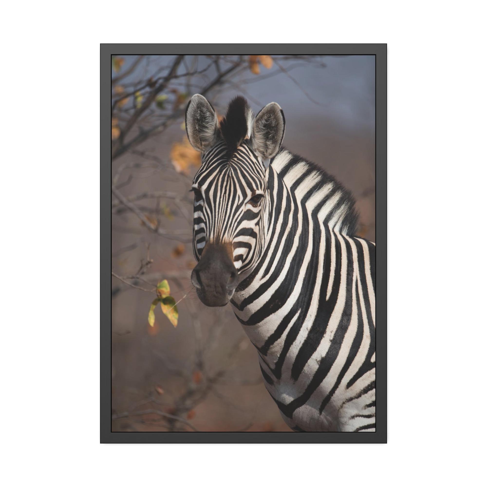 Zebras Zebra Stripes on the Horizon: Canvas Art Displaying a Beautiful Zebra in the Wild