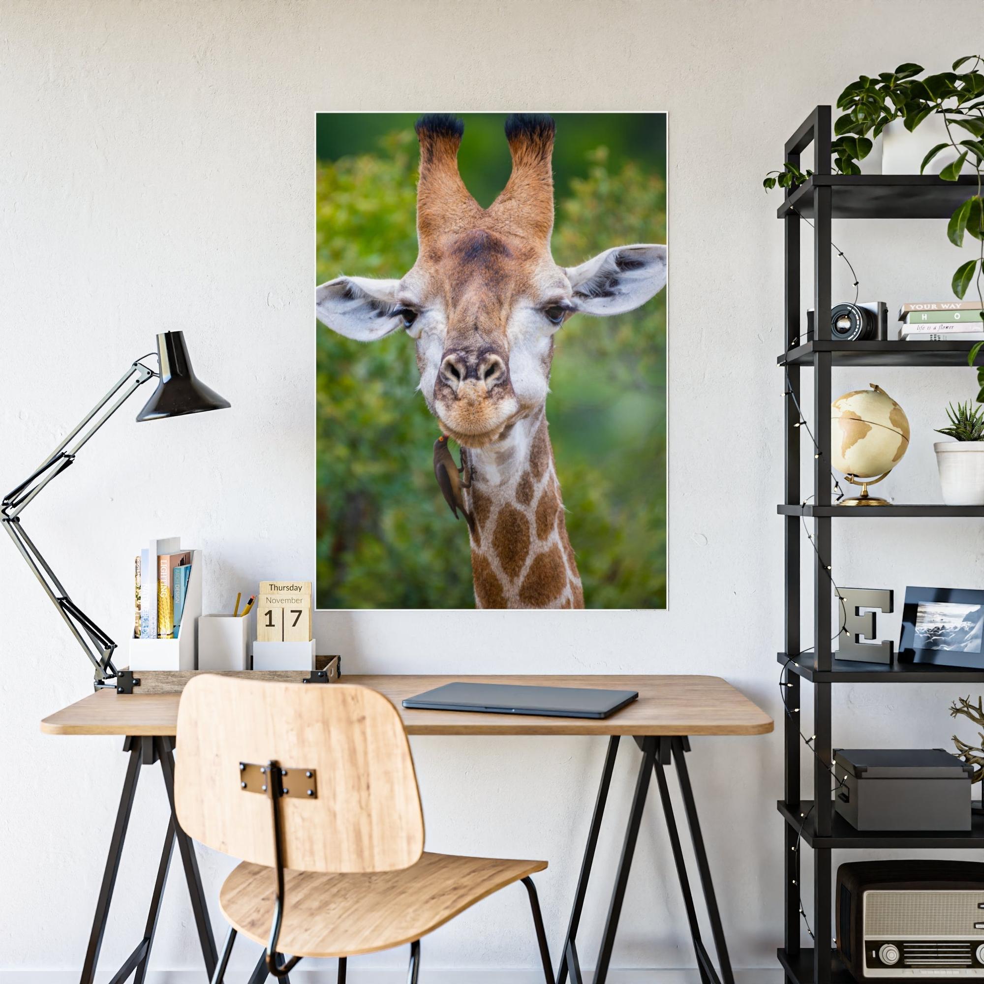 Giraffes Nature's Masterpiece: A Gorgeous Giraffe on Canvas & Poster