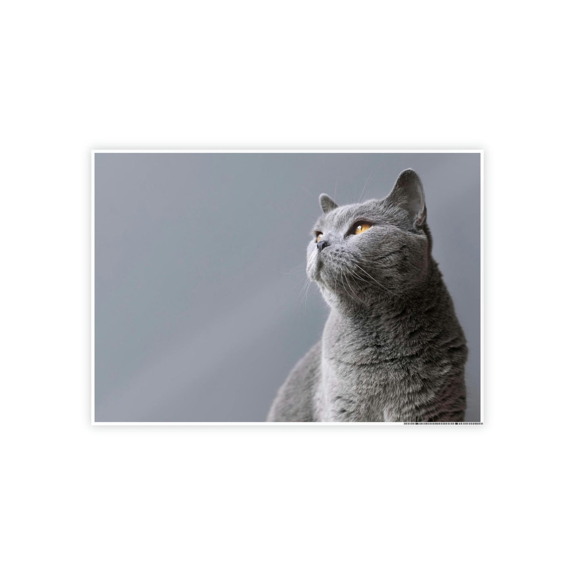 Cats Feline Finesse: Artistic Cat Depictions on Natural Canvas & Posters