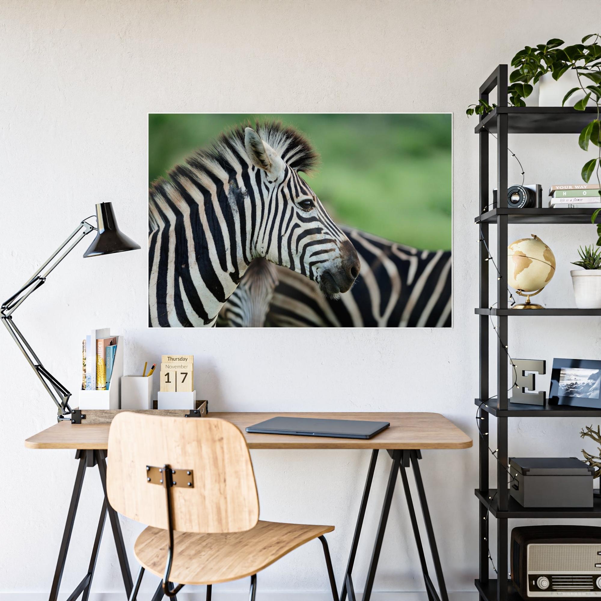 Zebras In the Wild: Zebra Canvas & Poster Print for a Natural Look