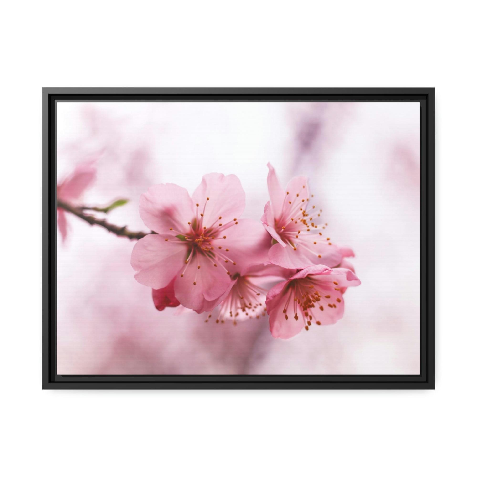 Cherry Blossoms Japanese Garden: Cherry Blossoms on Natural Canvas