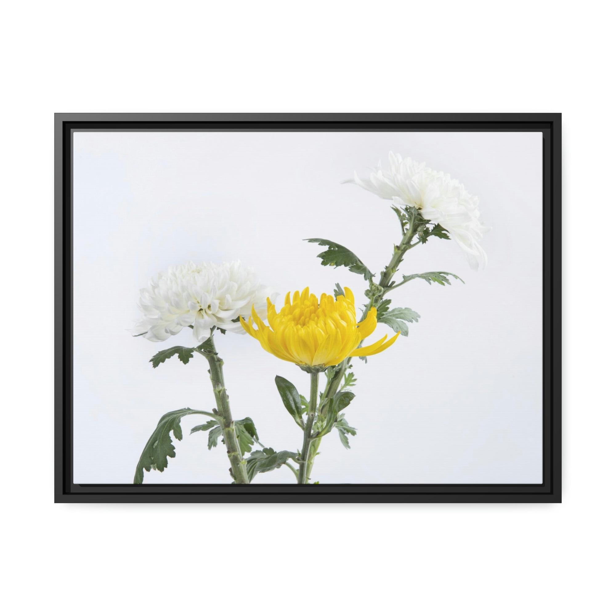 Chrysanthemums Floral Bliss: Poster & Canvas Art with Joyful Chrysanthemum Bouquet