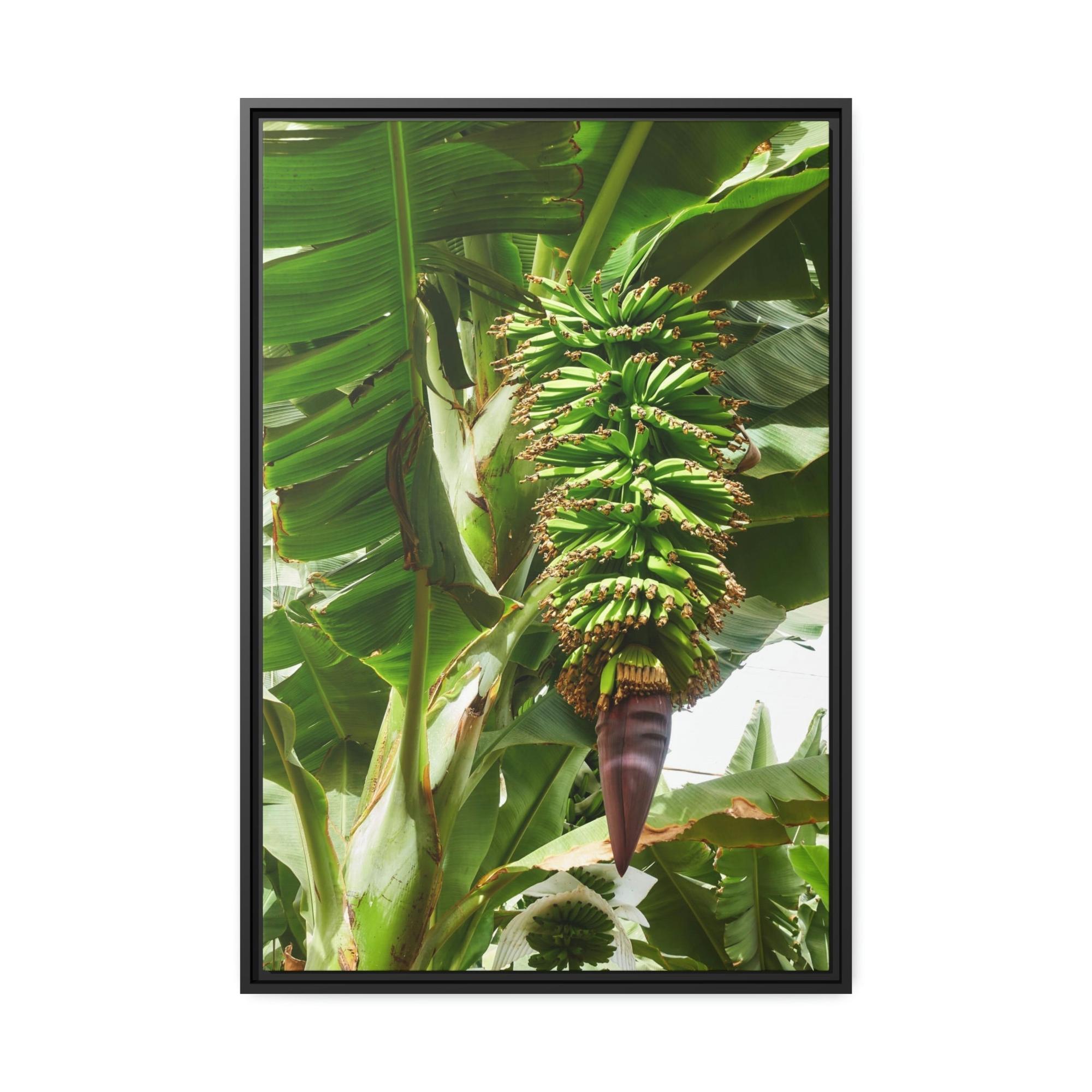 undefined Tropics Calling: Canvas Art with Vibrant Banana Trees in a Jungle Setting
