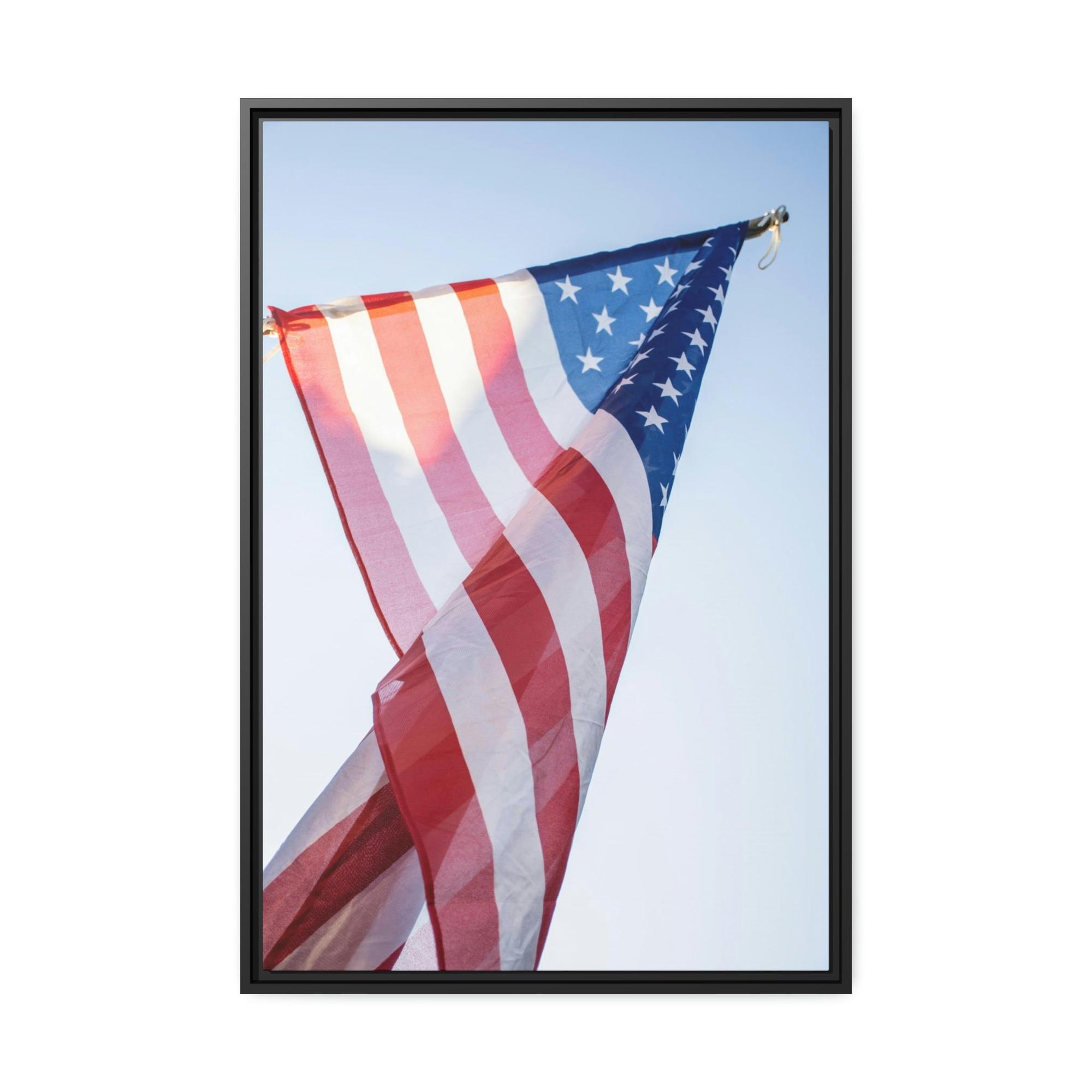 undefined United States of America: Framed Canvas & Poster Art with the Flag