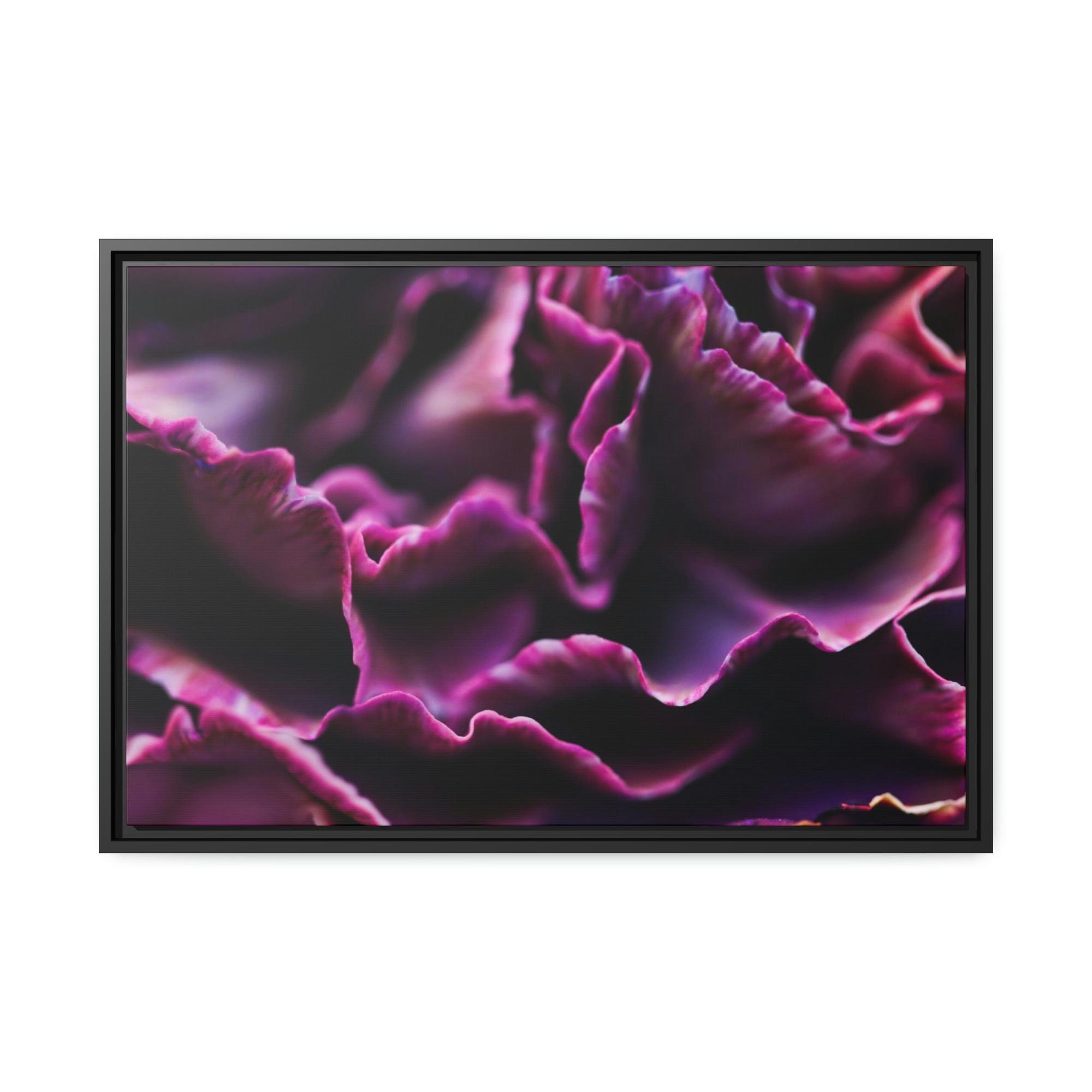 Carnations Colorful Petals: Framed Canvas and Wall Art of Carnations for Your Walls