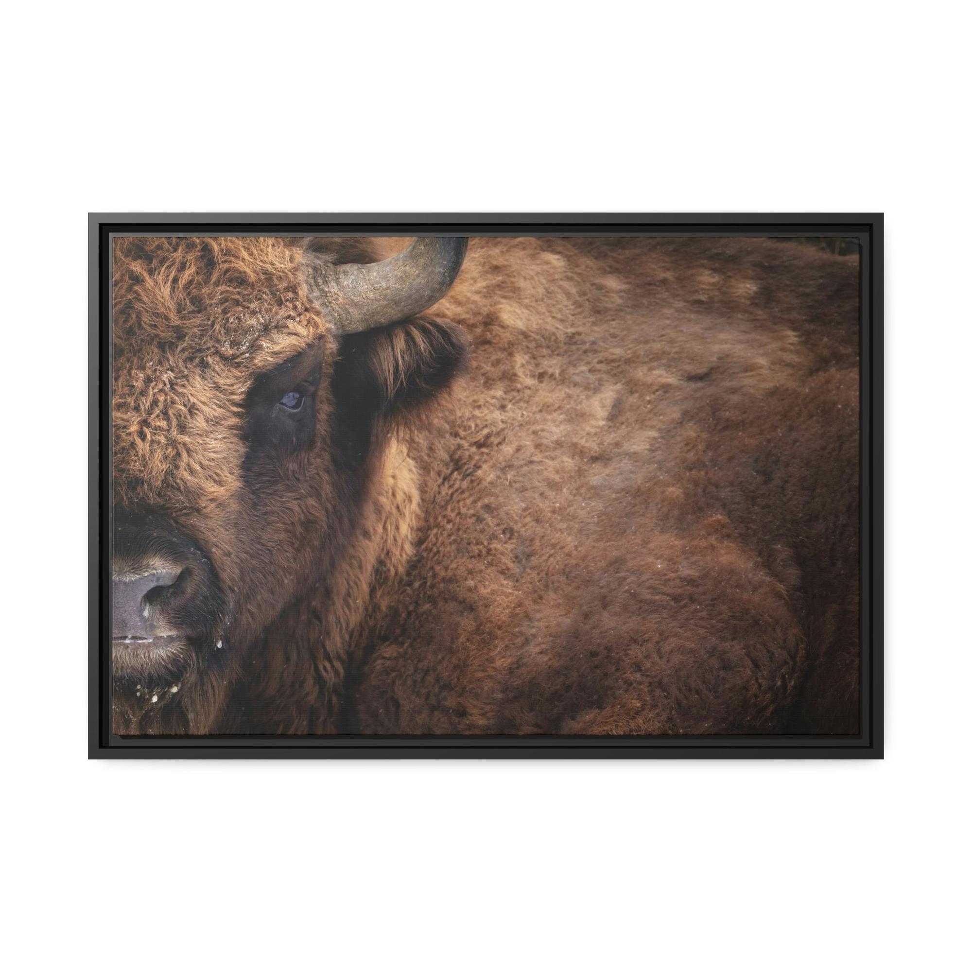 undefined Artistic Bull Illustration: Natural Canvas and Poster Prints