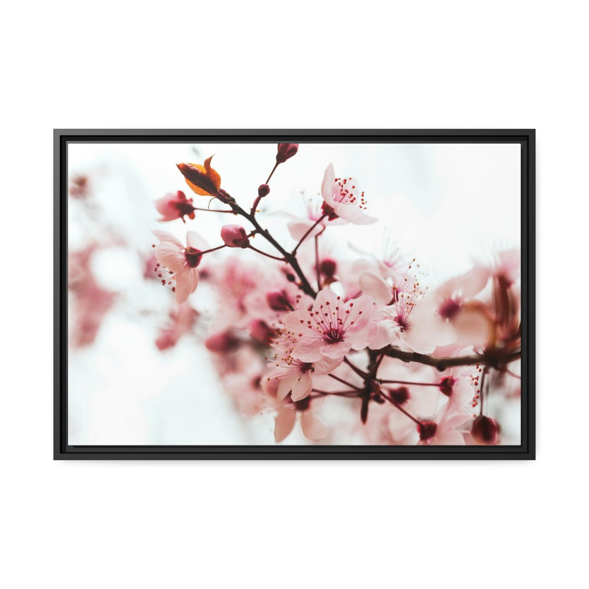 undefined Blossoming Beauty: Almond Blossoms on Natural Canvas & Poster
