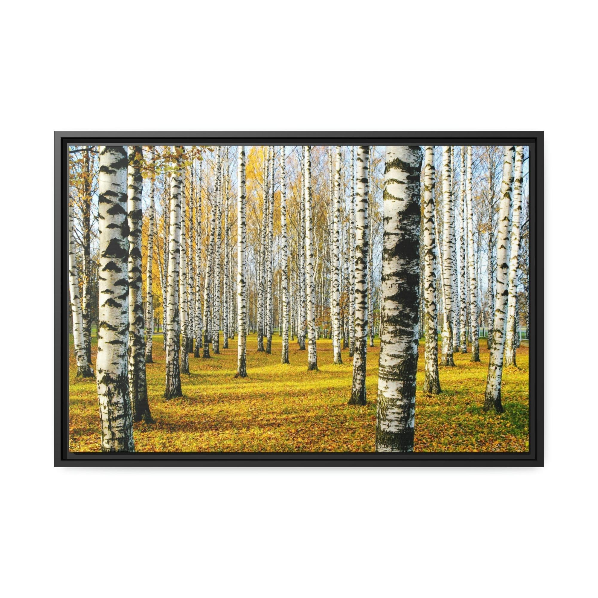 Aspen Trees The Serene Beauty of Aspen Trees: Wall Art for Your Home
