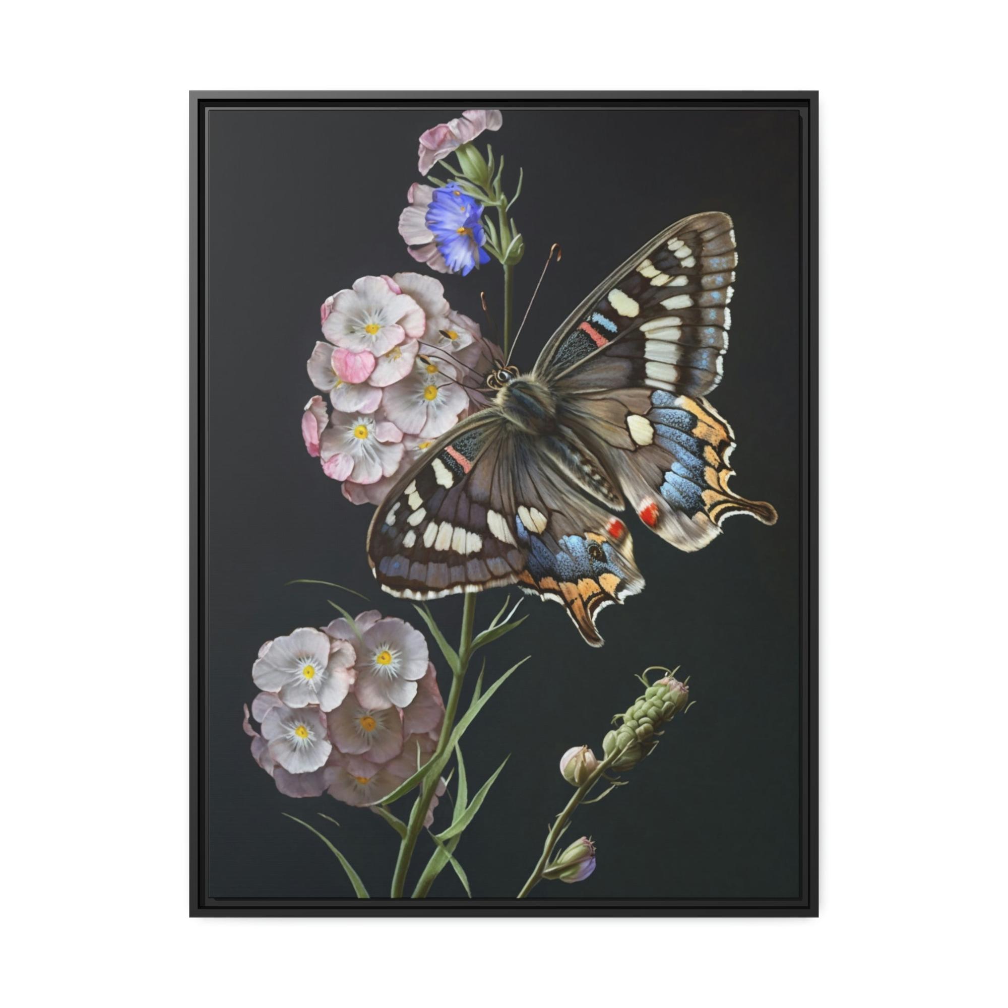 Butterflys One Butterfly: Framed Canvas & Poster Print Capturing the Beauty of a Single Insect