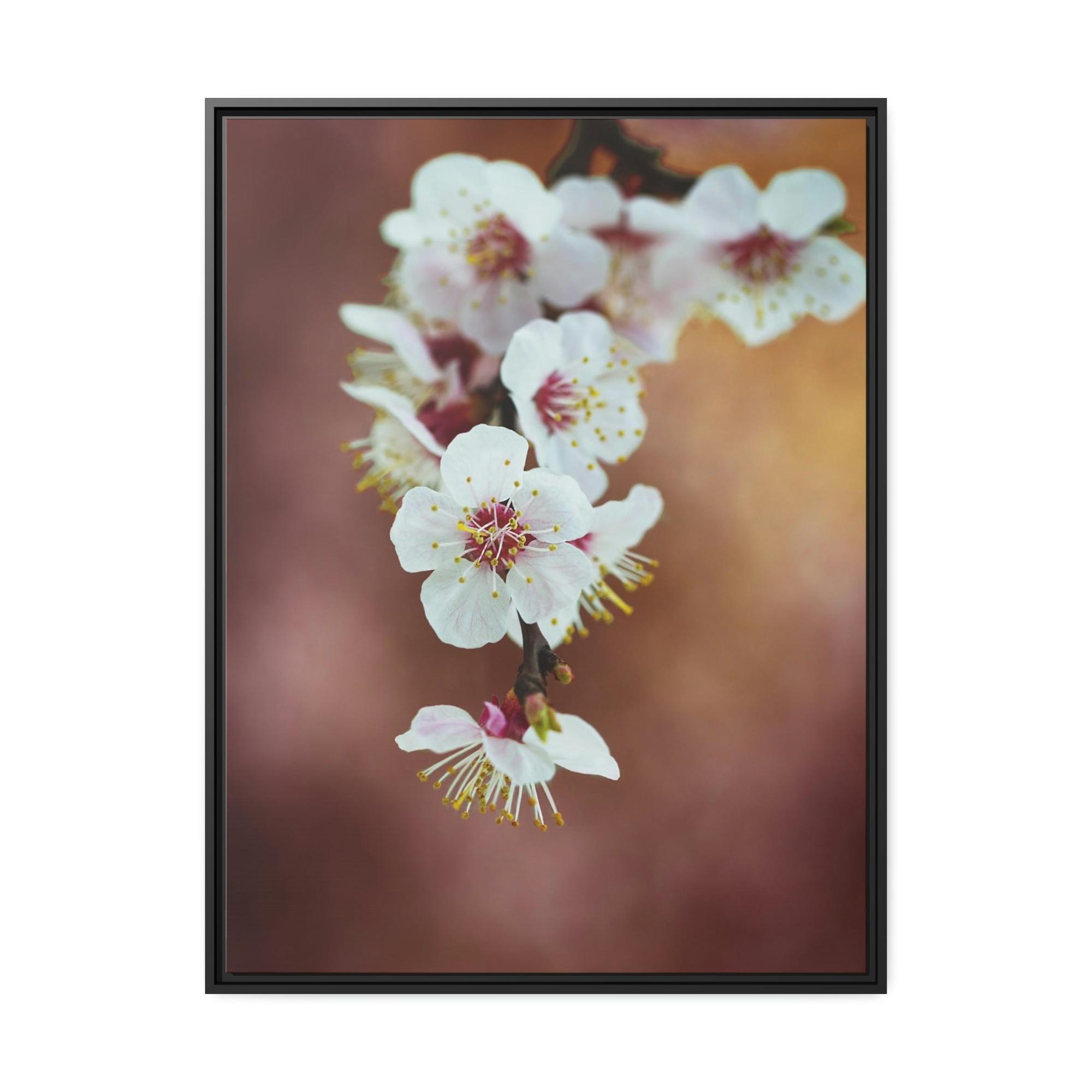Almond Blossoms Almond Blossoms in Bloom: Framed Canvas & Poster Wall Art