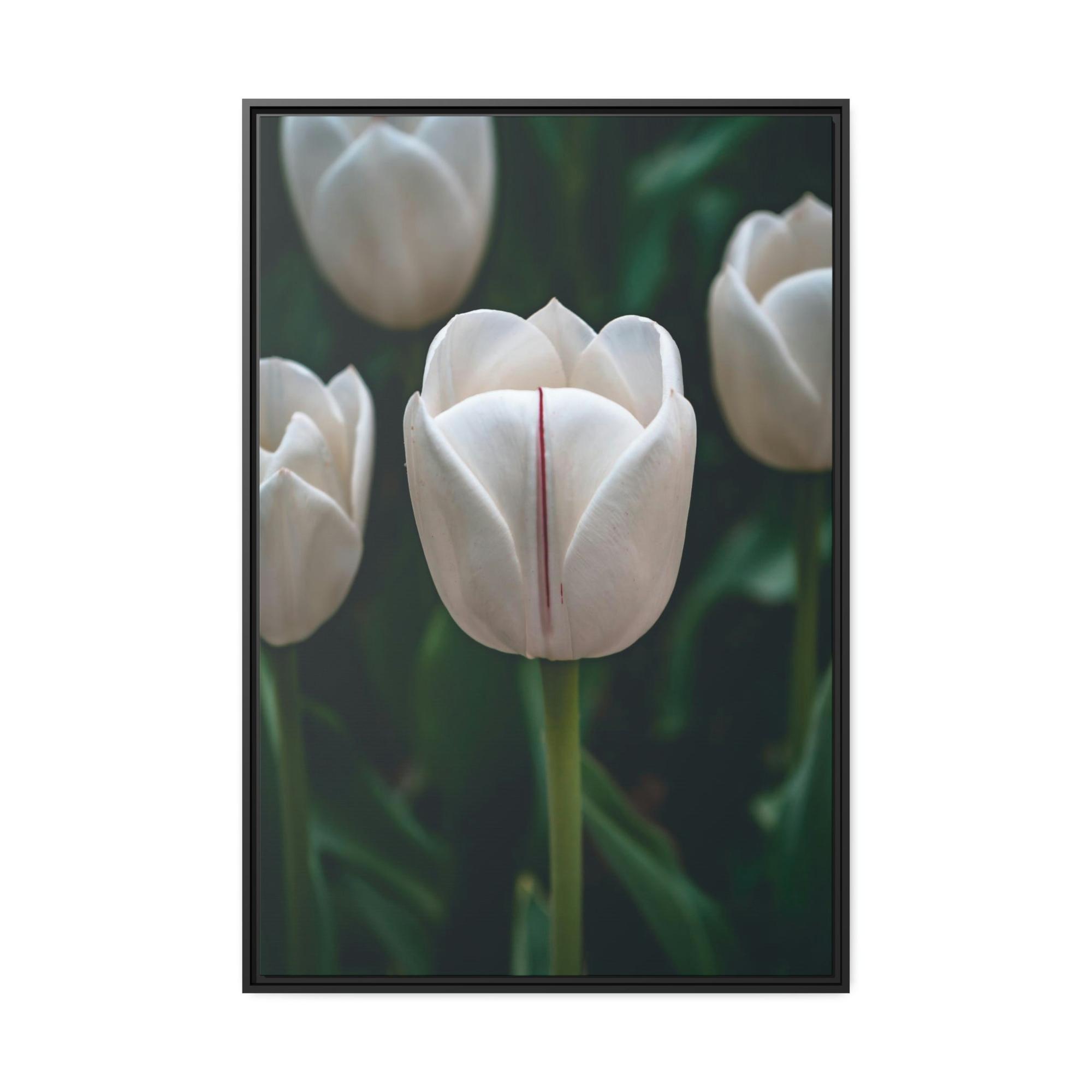 undefined Blooming Tulips: A Springtime Bouquet