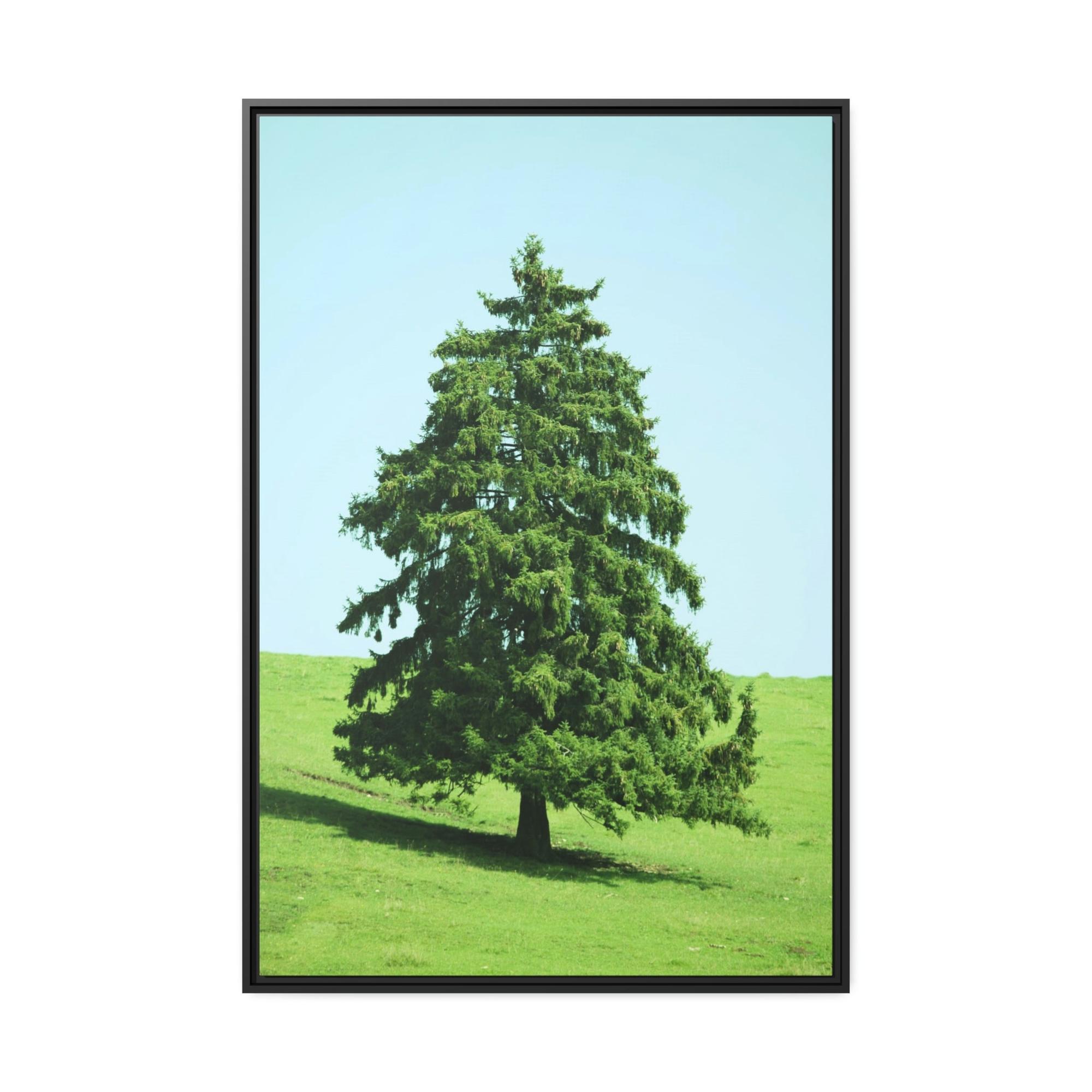 undefined A Cypress Oasis of Beauty and Tranquility: A Haven of Serenity and Peace