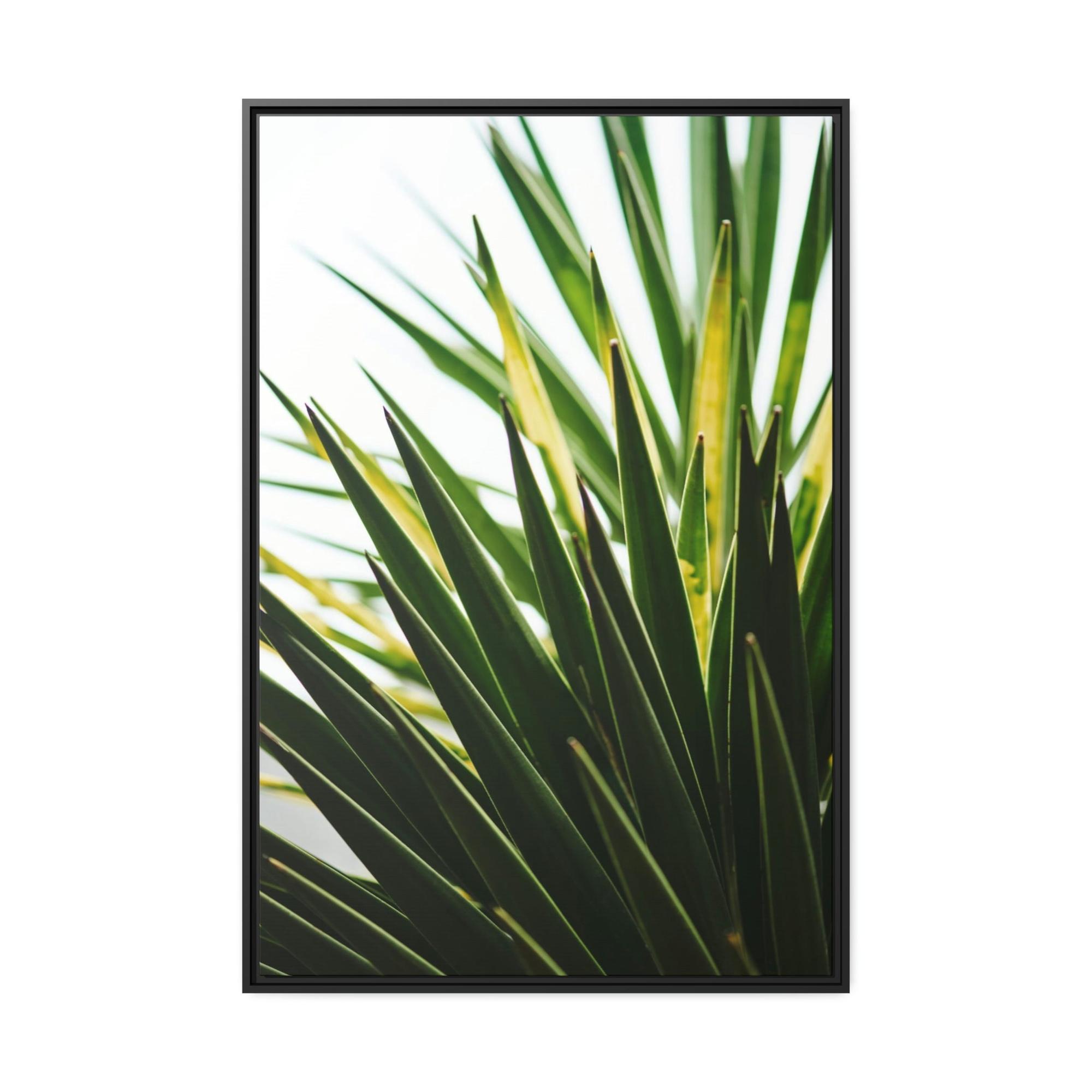 undefined The Majesty of Plants: A Regal Display of Nature's Splendor