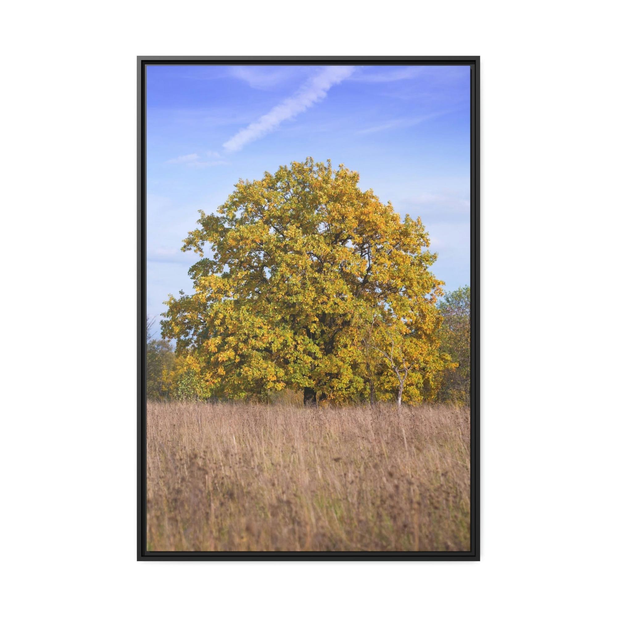 Oak Trees Whispers in the Wind: A Mystical Encounter with the Enchanting Oak Tree