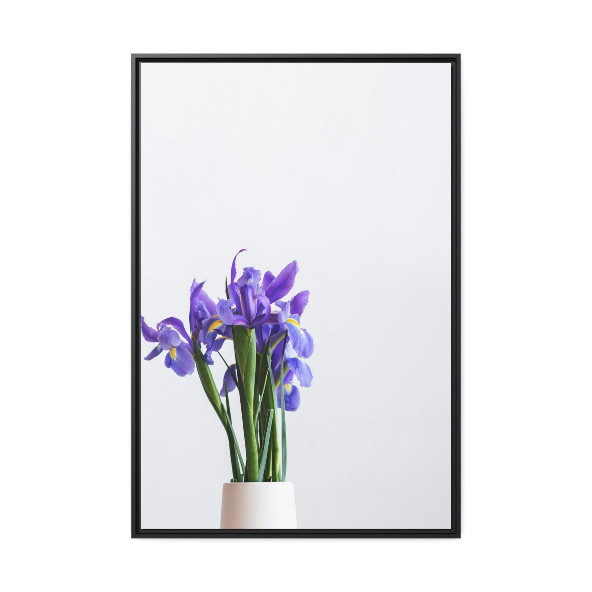Irises Iris Oasis: A Canvas of Cool Breezes and Serenity