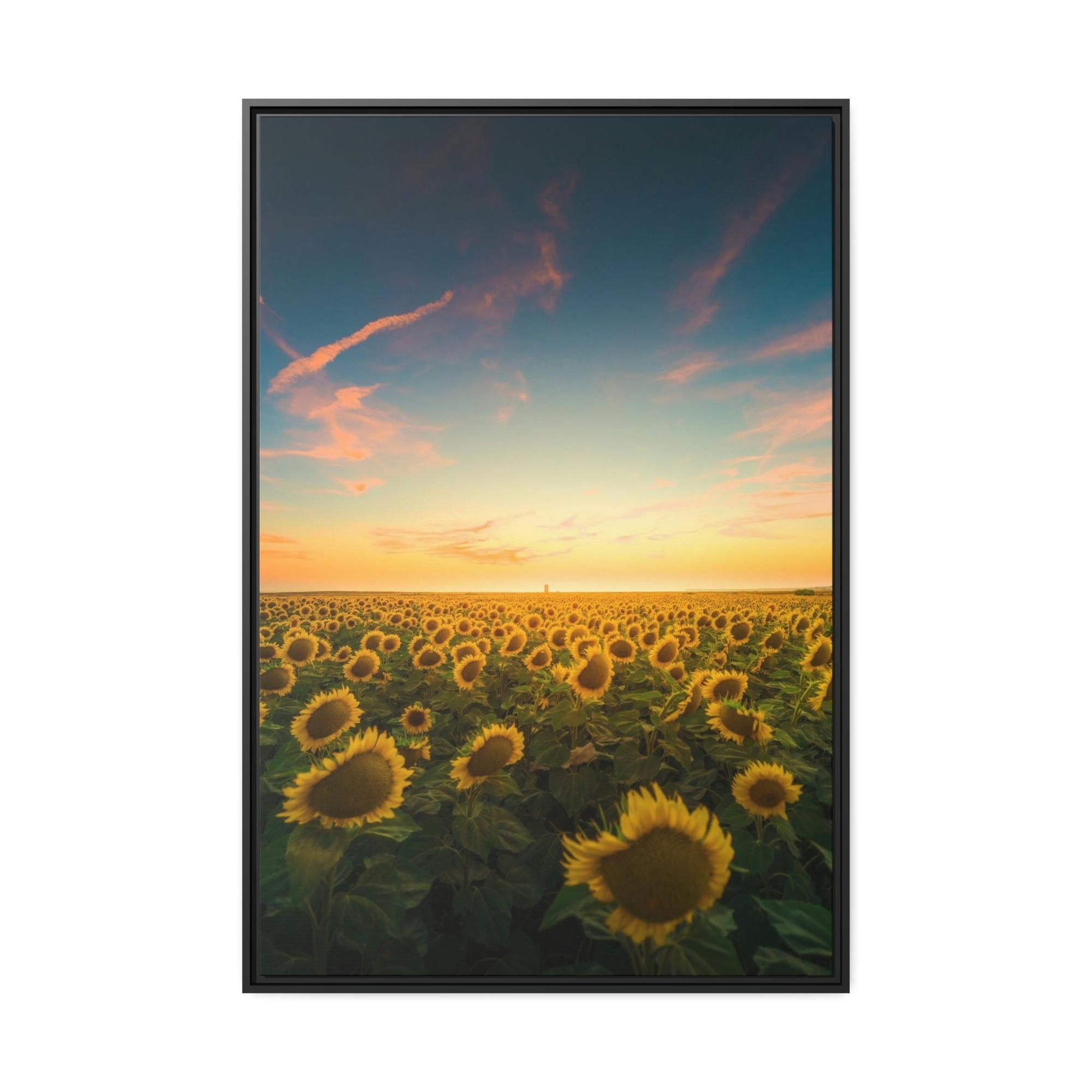 undefined Radiant Rays: A Mesmerizing and Luminous Portrait of Sunflowers' Glory