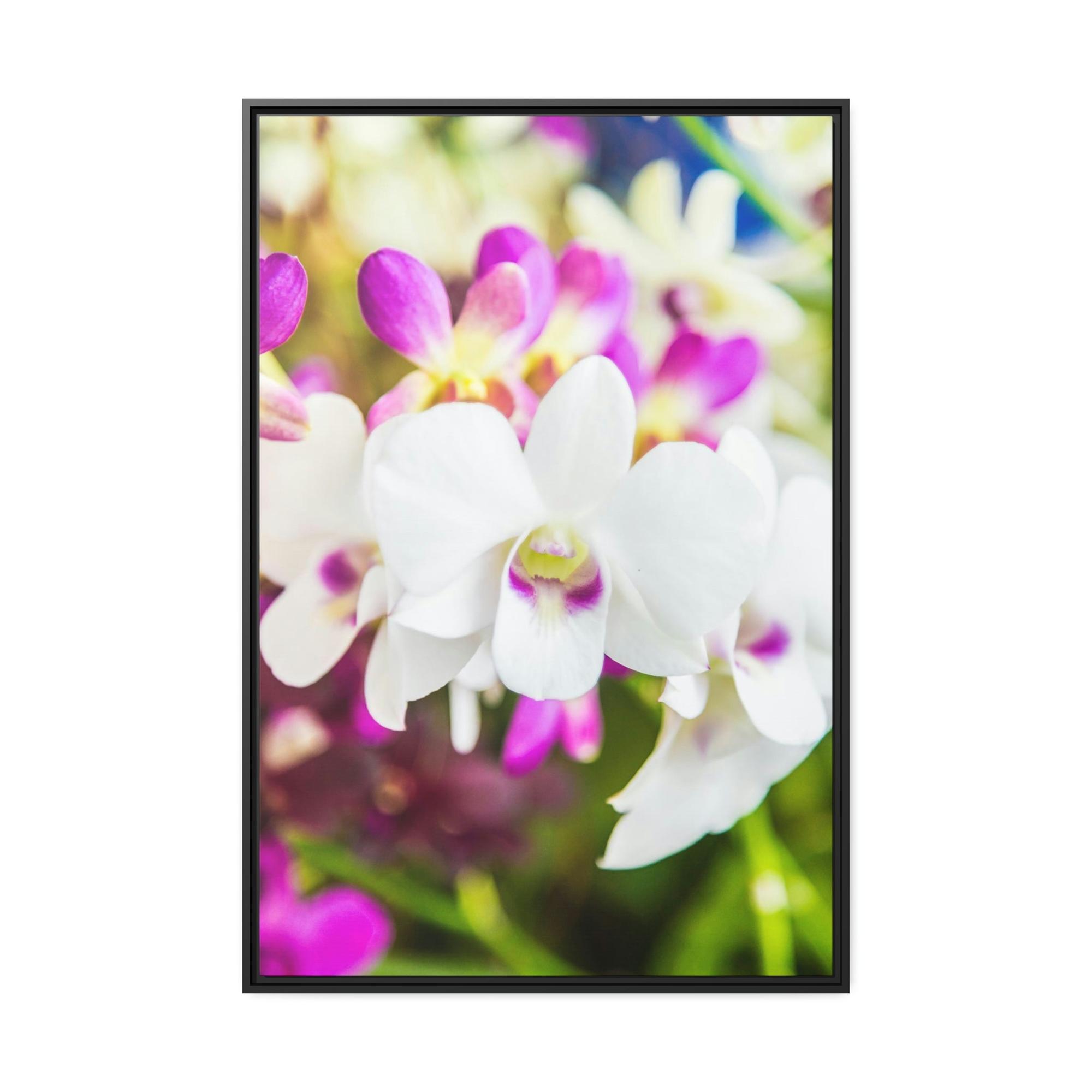 undefined Orchid Garden: A Colorful Canvas Escape
